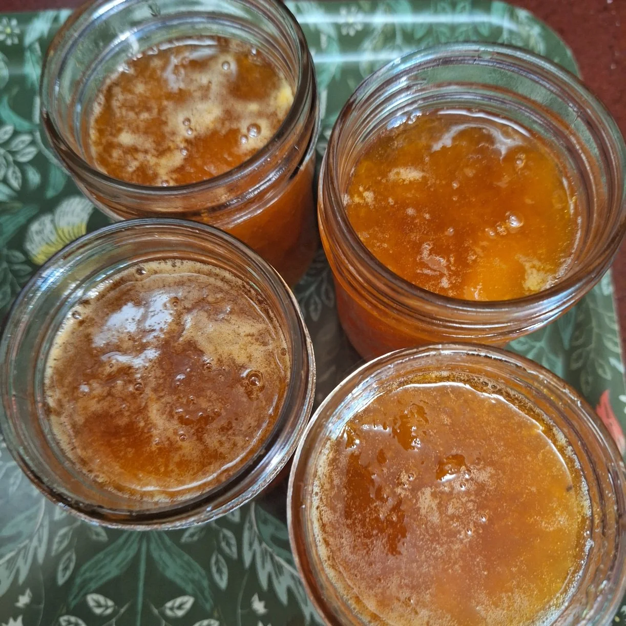 20260726_145548.jpg