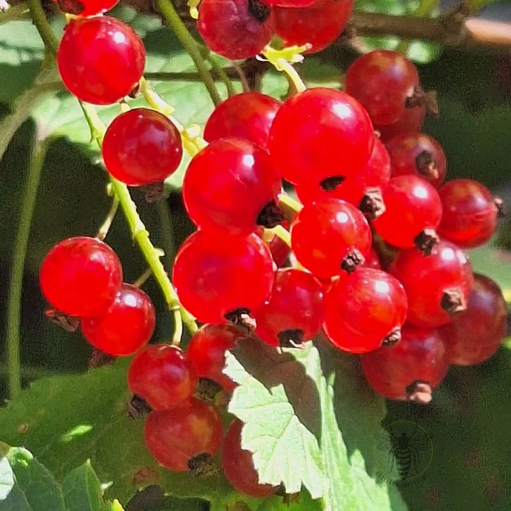 20250723_172714.jpg
