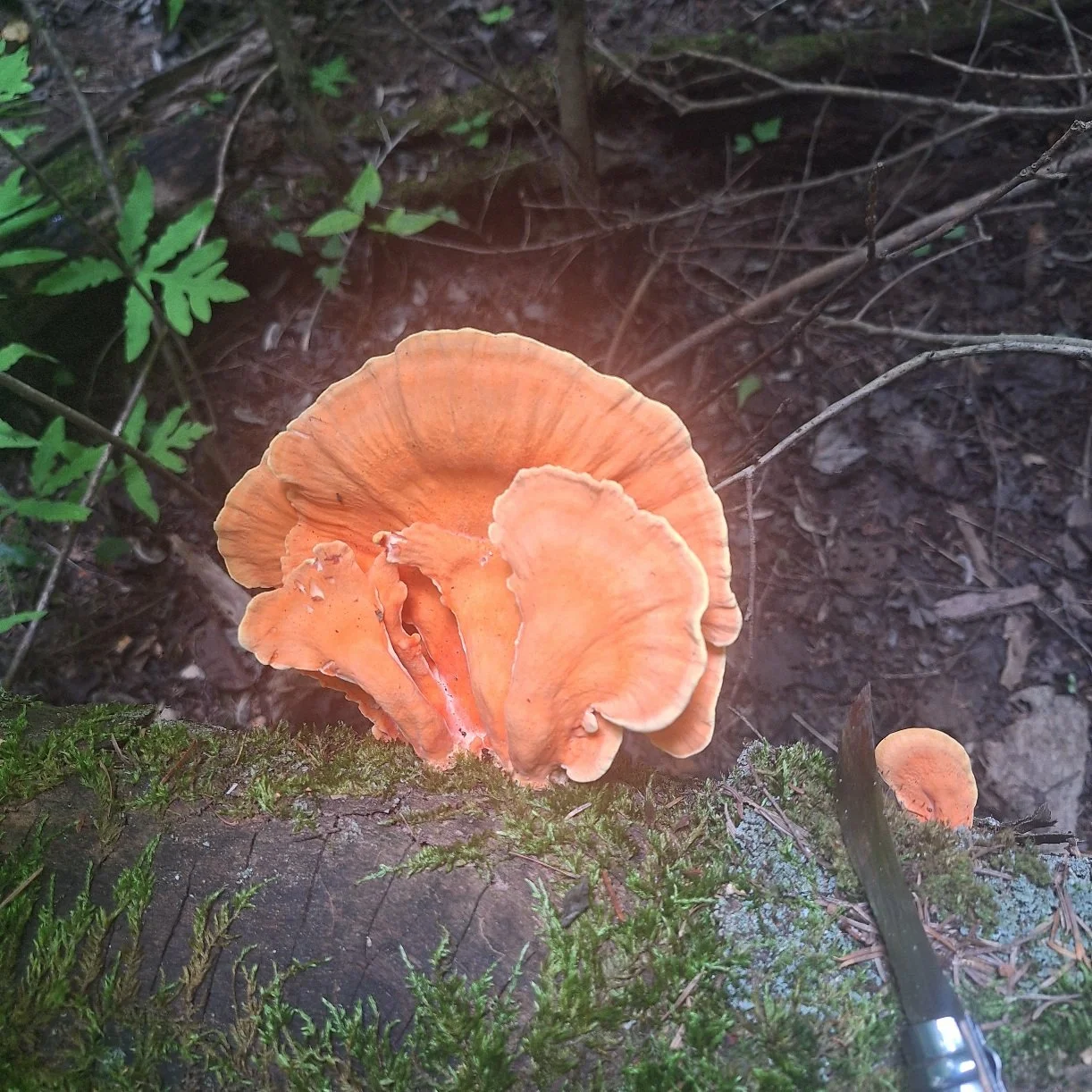 20250807_141345.jpg