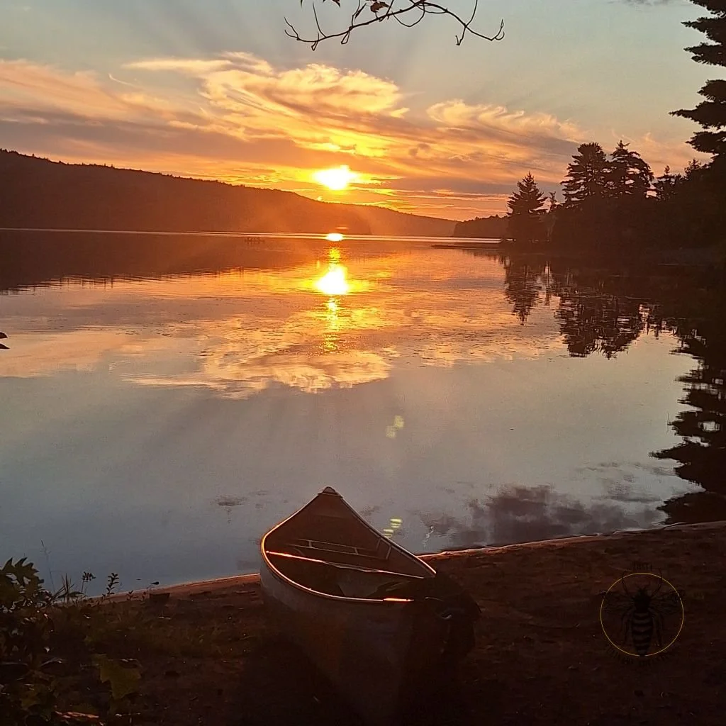 camping.jpg