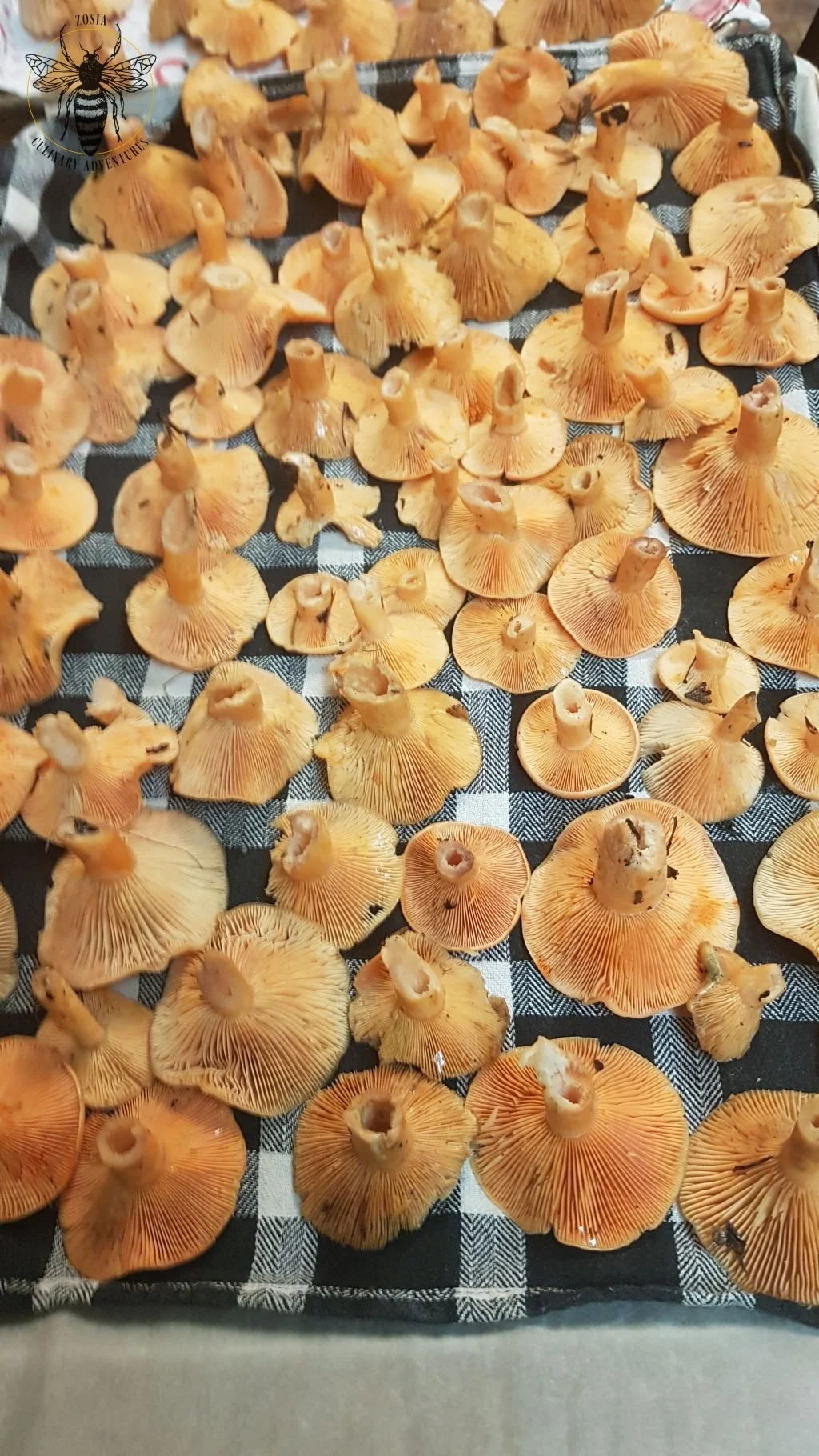 MILKCAP 3.jpg