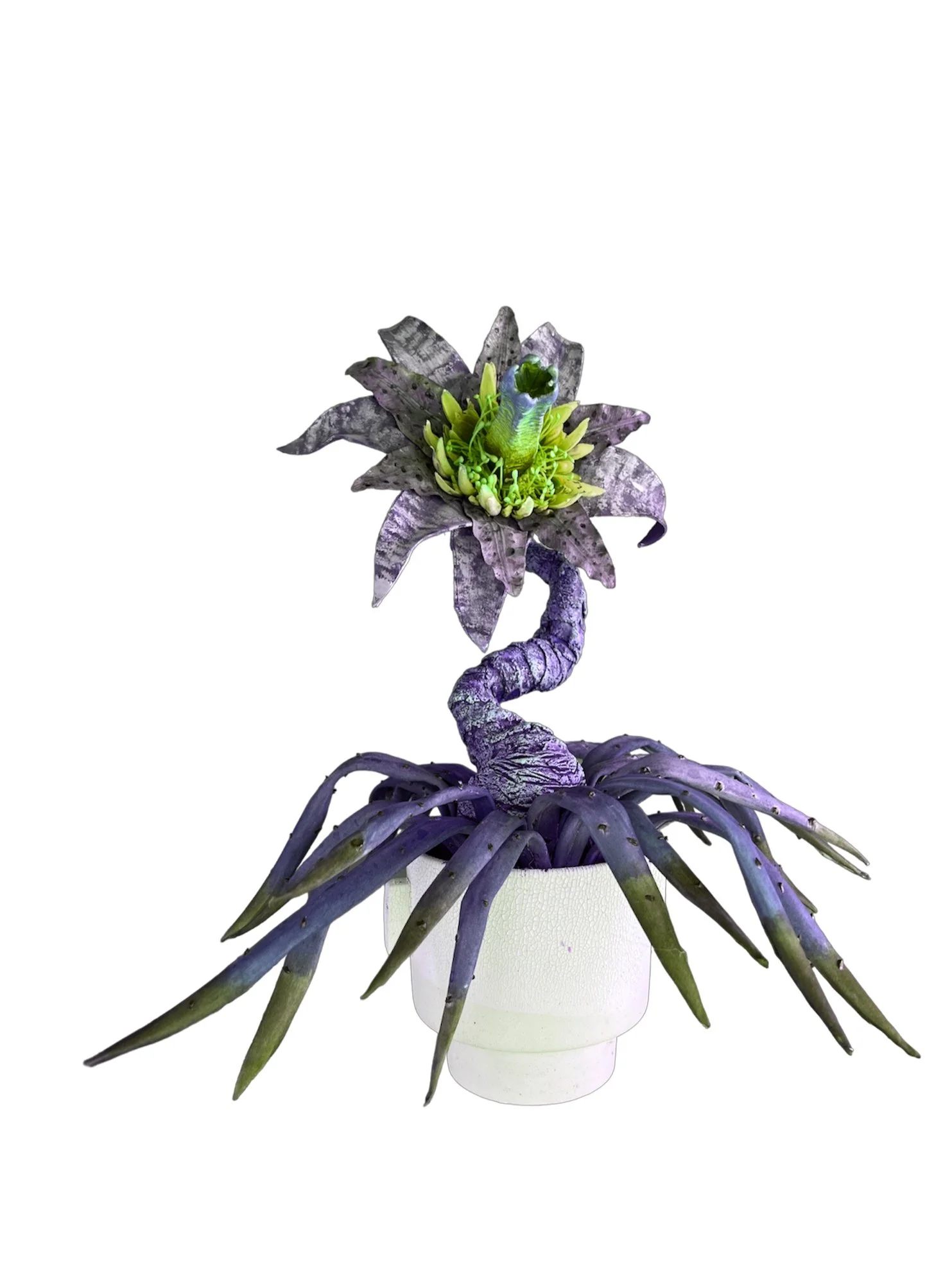 Sub-Species II - Lilium Phytodia var. Celestialis:

Physical Features:
Lilium Phytodia var. Celestialis displays an exquisite trunk similar to the scuticarpa plant, contributing to its captivating botanical allure. Distinguished by a larger, stargaze