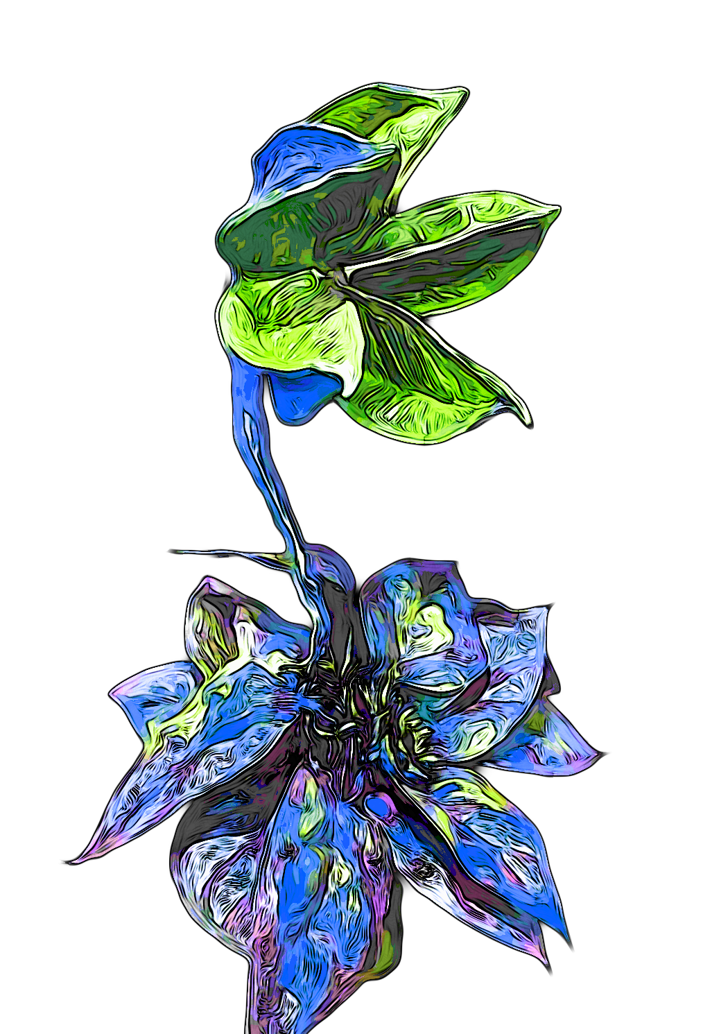 1DAB1BAF-67B5-4967-8531-09A721A6A7DE.png