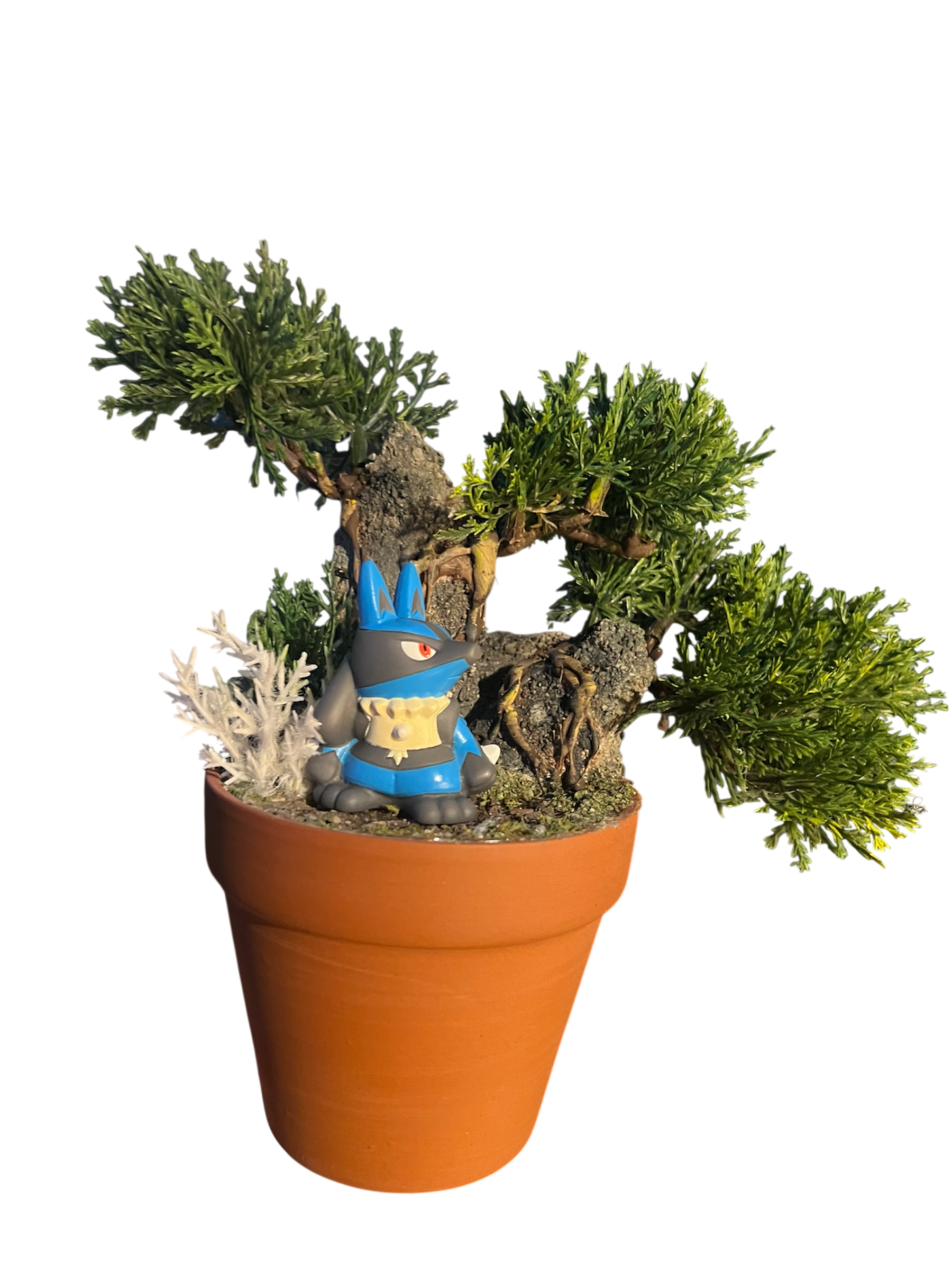 Photoroom_20250815_032037.png