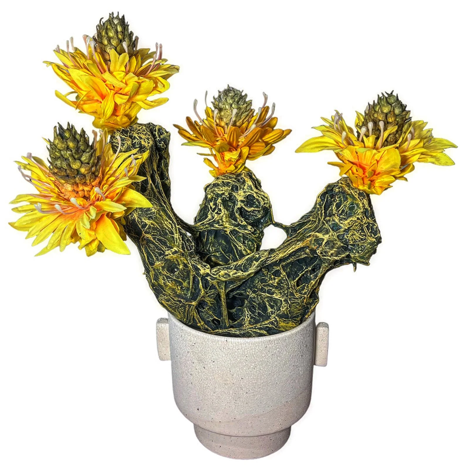 Slimecactus Aurorus
 (Cactobacterium Aurorus)

The Slimecactus plays a vital role in its ecosystem by providing nourishment and shelter for various creatures native to Nephrajaal. Its captivating floral display attracts curiousl pollinators and inse