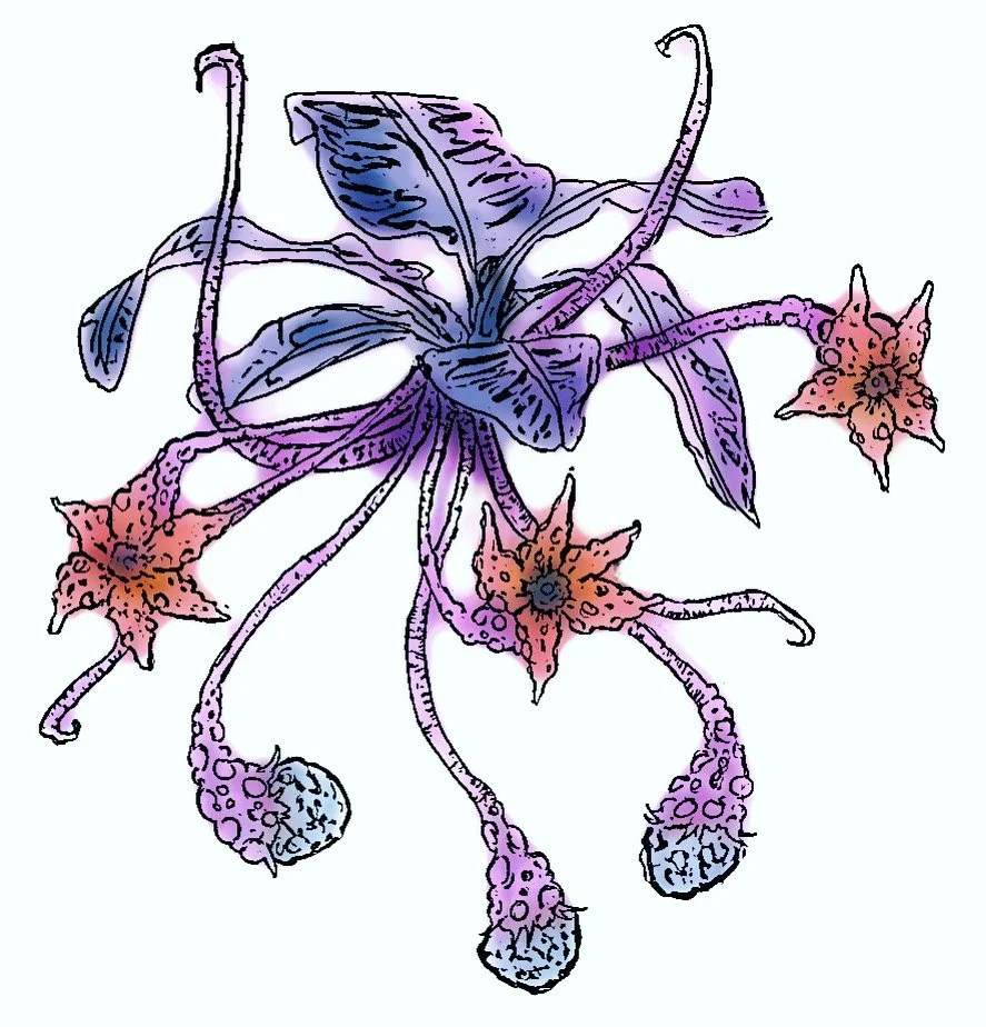 Concept sketch for the Lantern plantain sculpture.