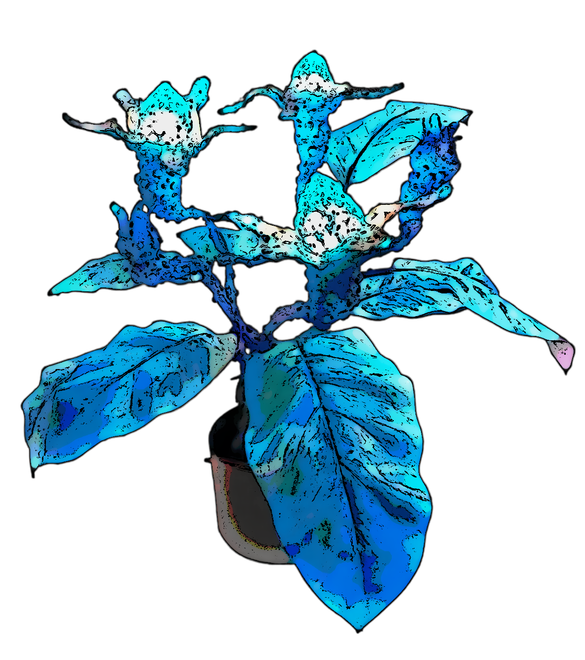 B9A56EF7-6EE4-4FC3-9BCB-0FFB8255A7BC.png