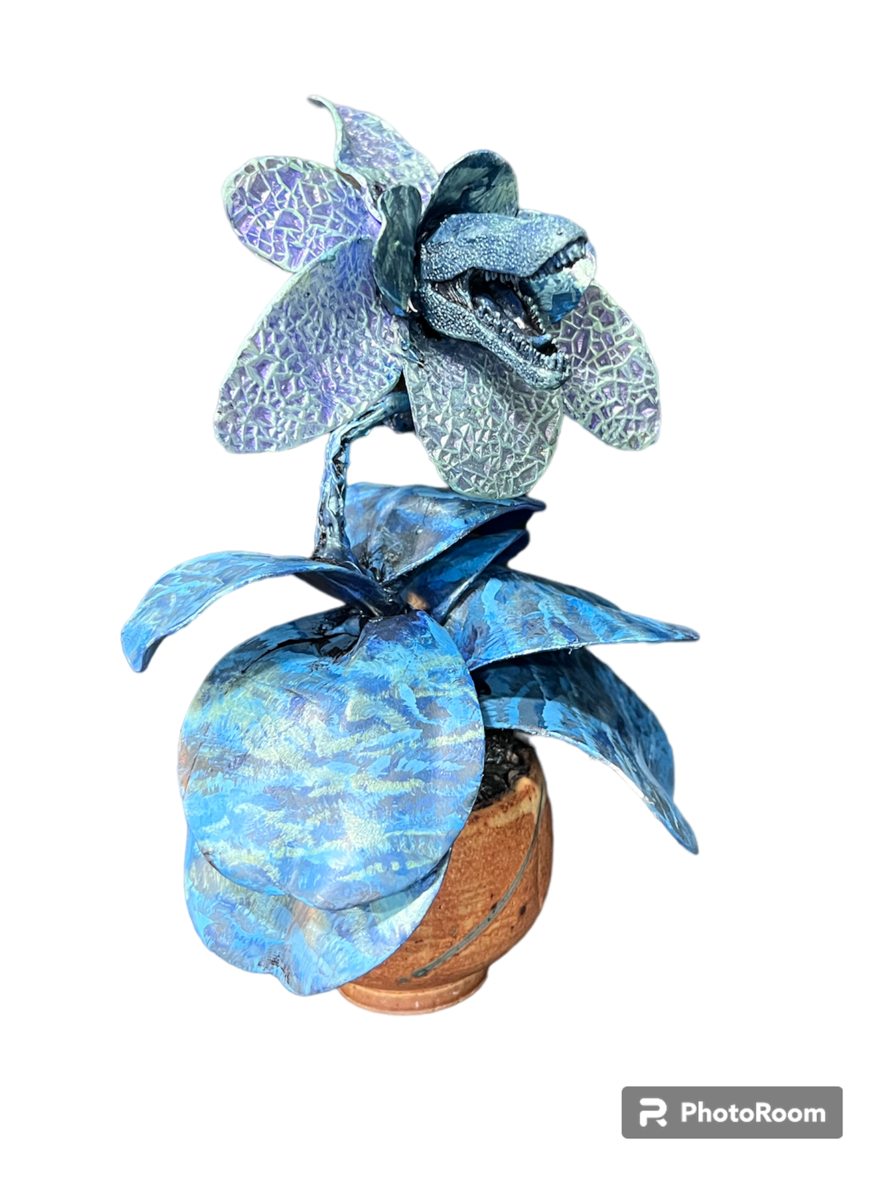 PhotoRoom_20231217_194839.png
