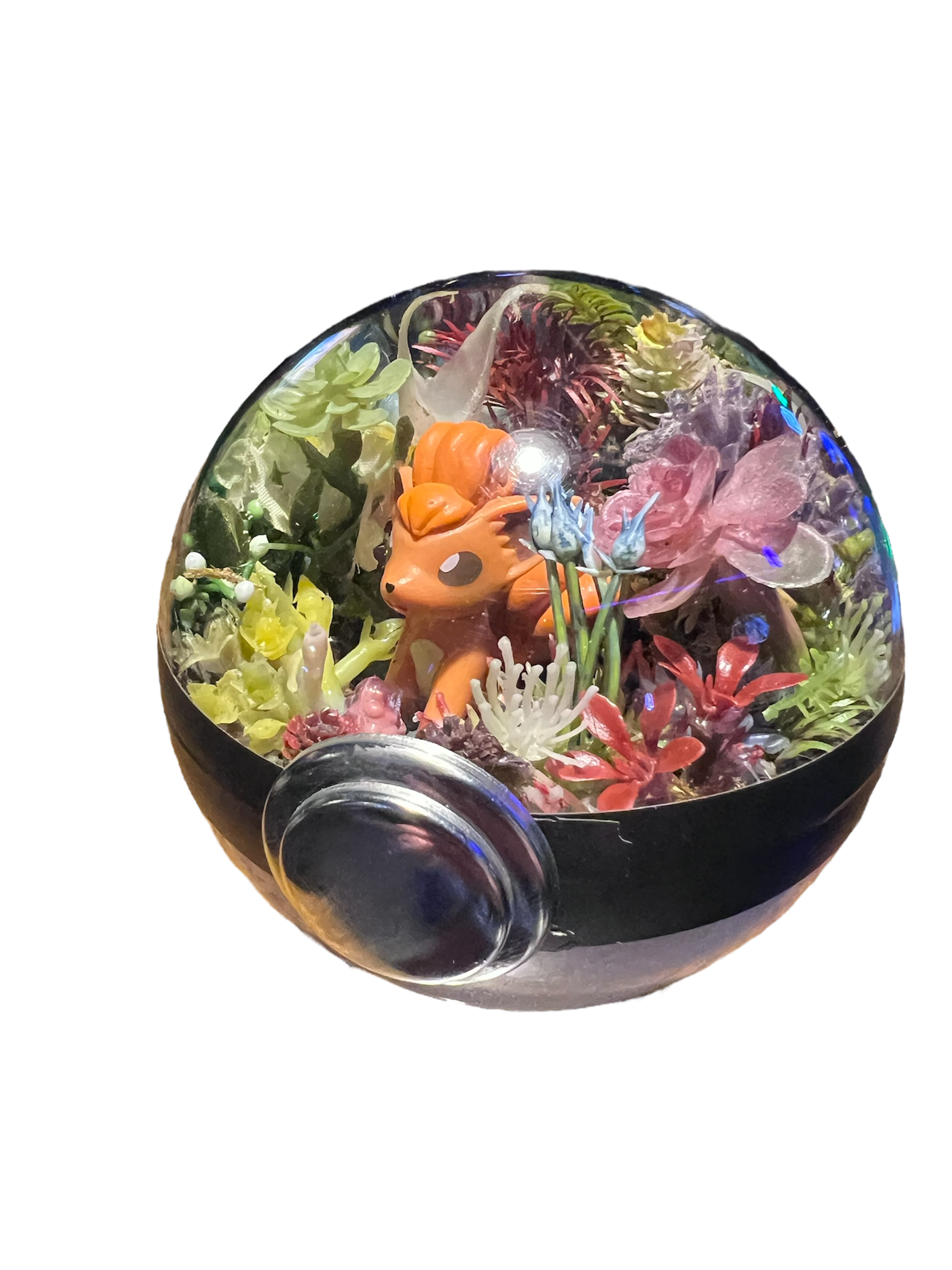 Photoroom_20250610_212629.png