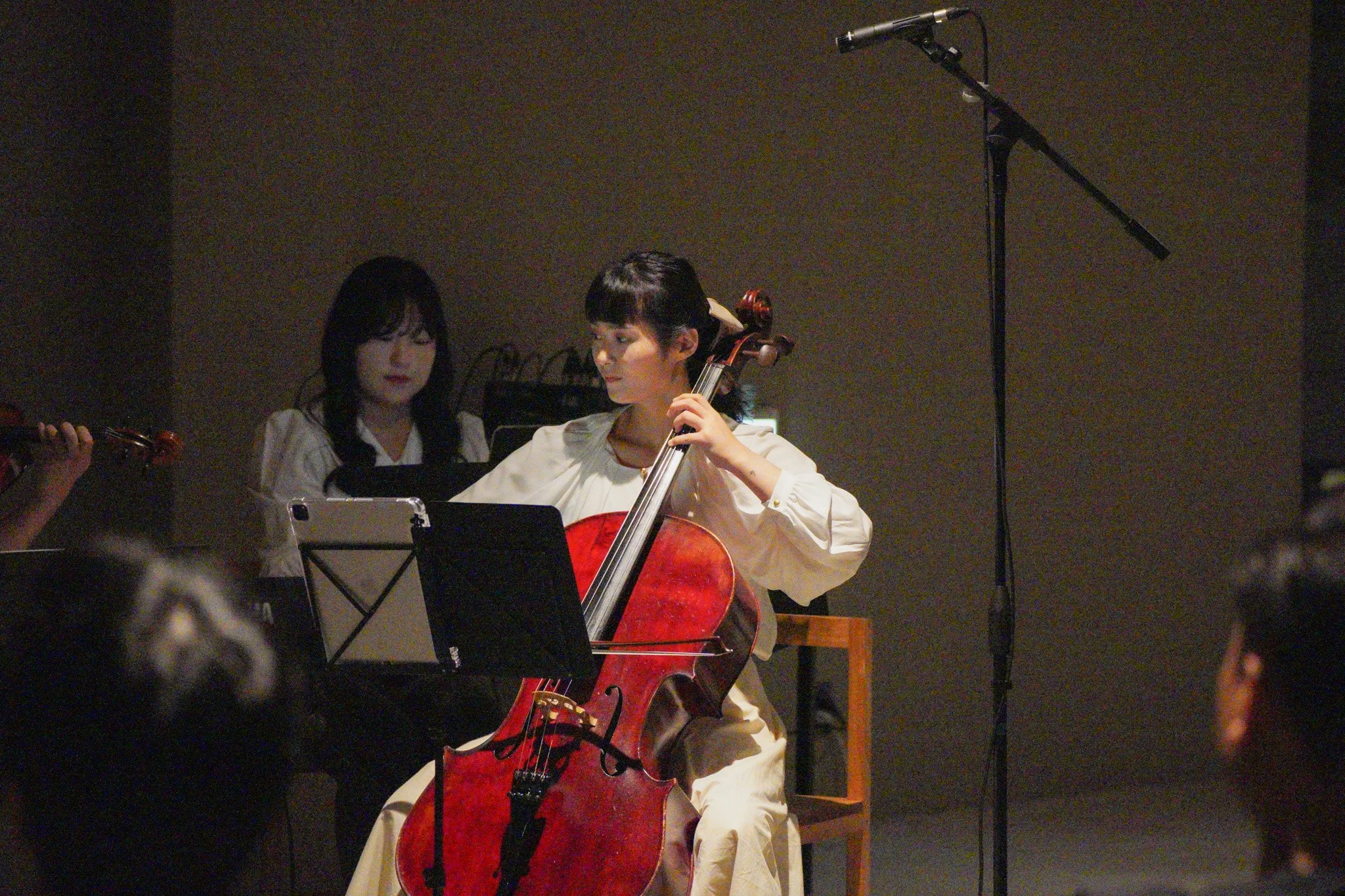 DSC04787-2.jpg