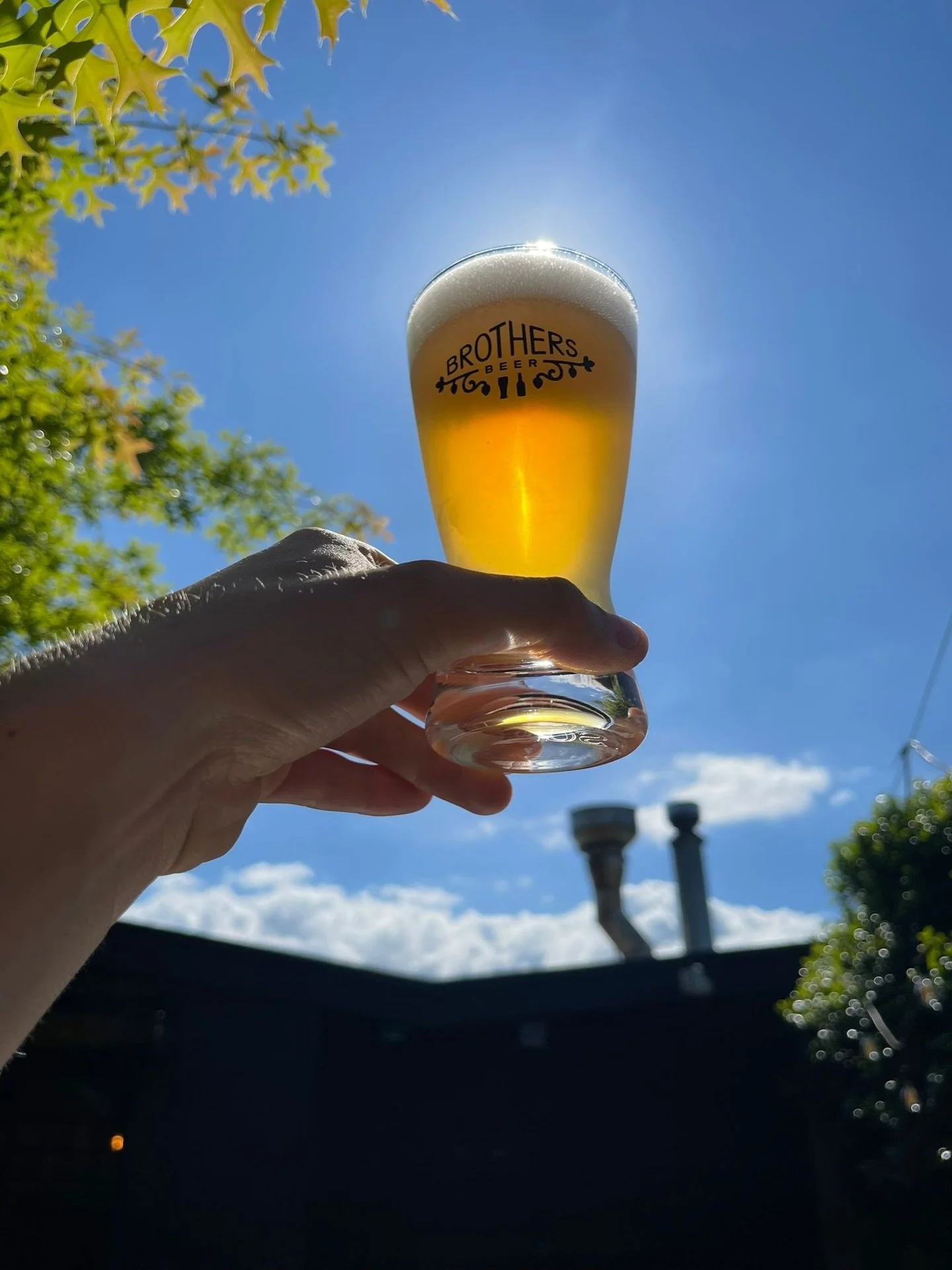 Nice day for an IPA ☀️🍺