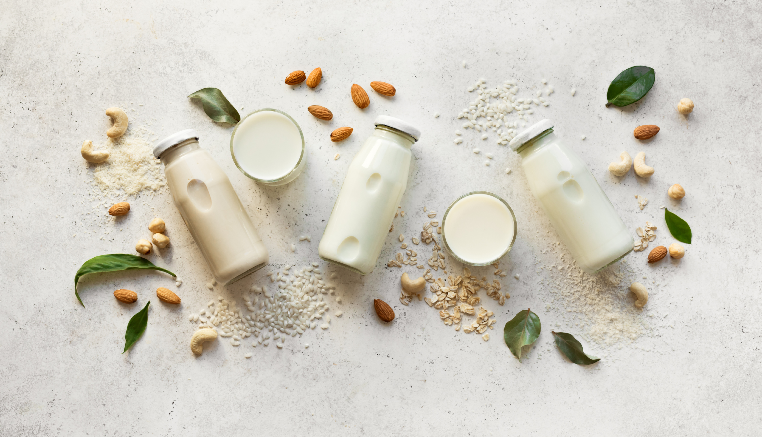 Comparing Milks After Bariatric Surgery: A Nutrient Guide for NZ