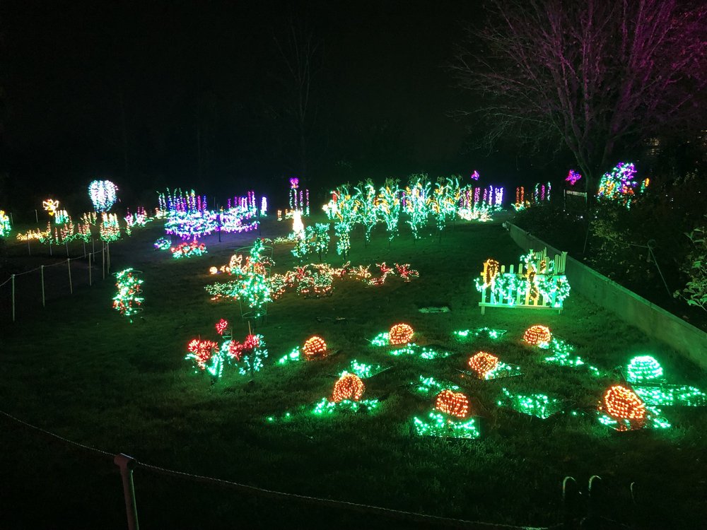 Lights at Bellevue Botanical Garden