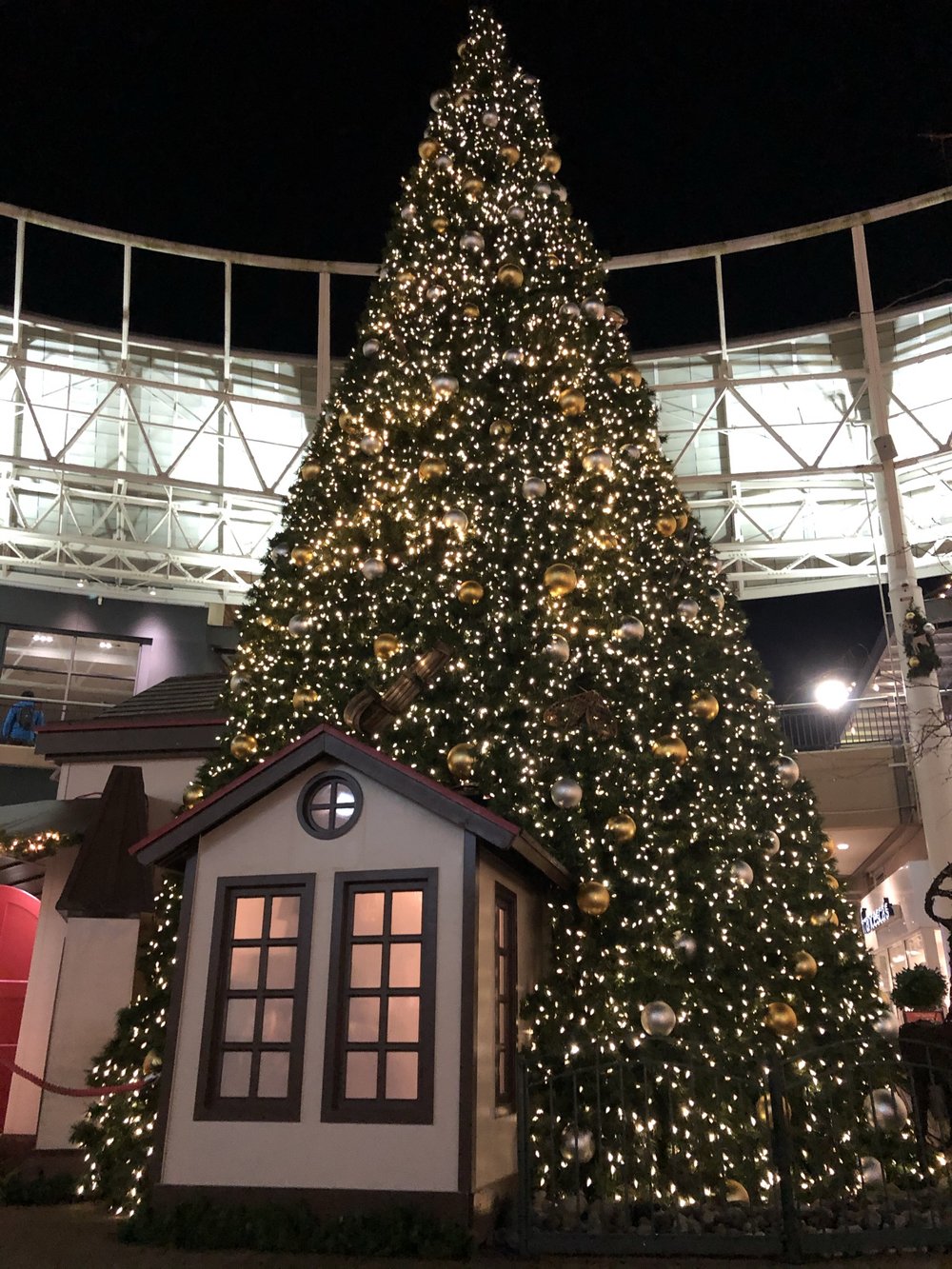 Holiday Tree/Santa House at Redmond Town Center