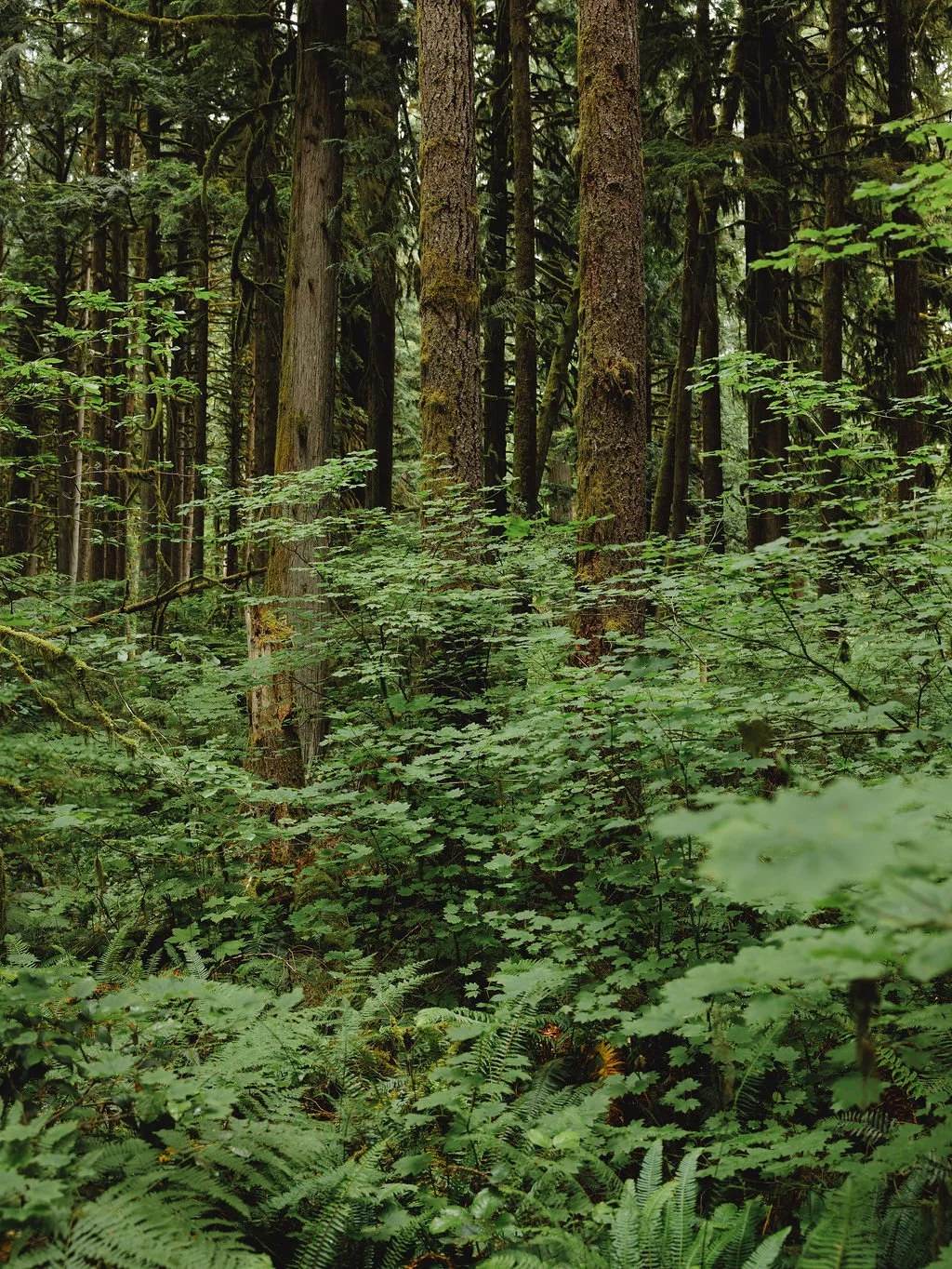 Sound and Silence Retreat