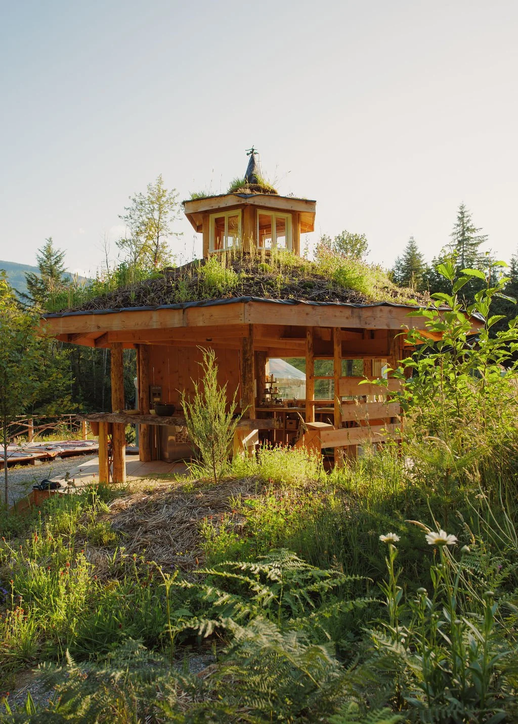 Spring Rewilding Retreat
