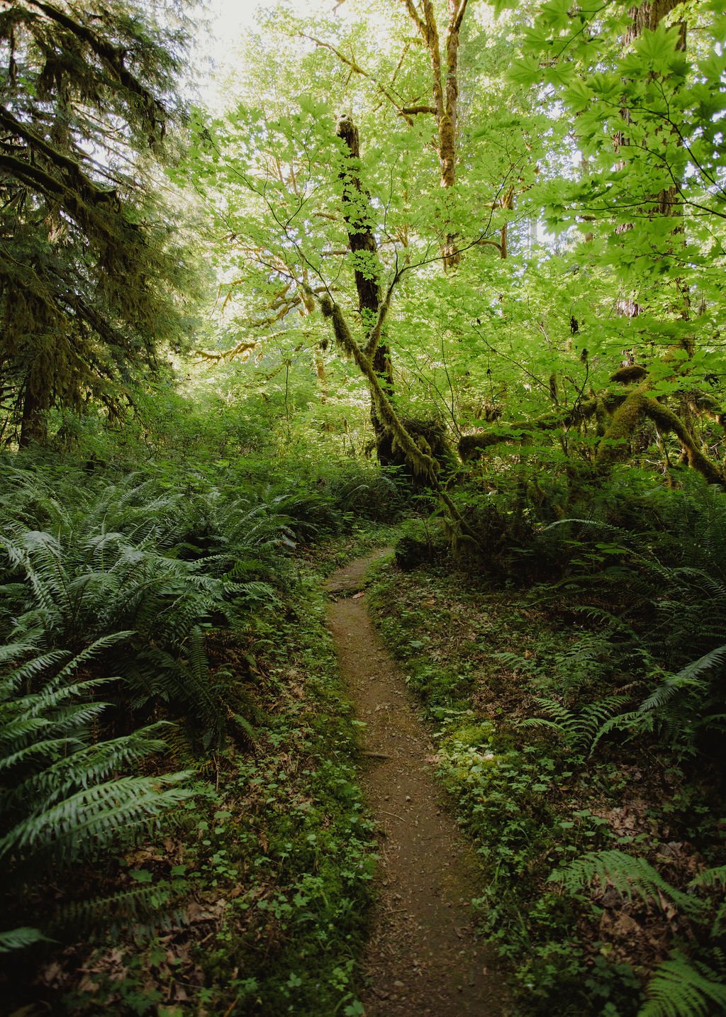 Spring Rewilding Retreat 
