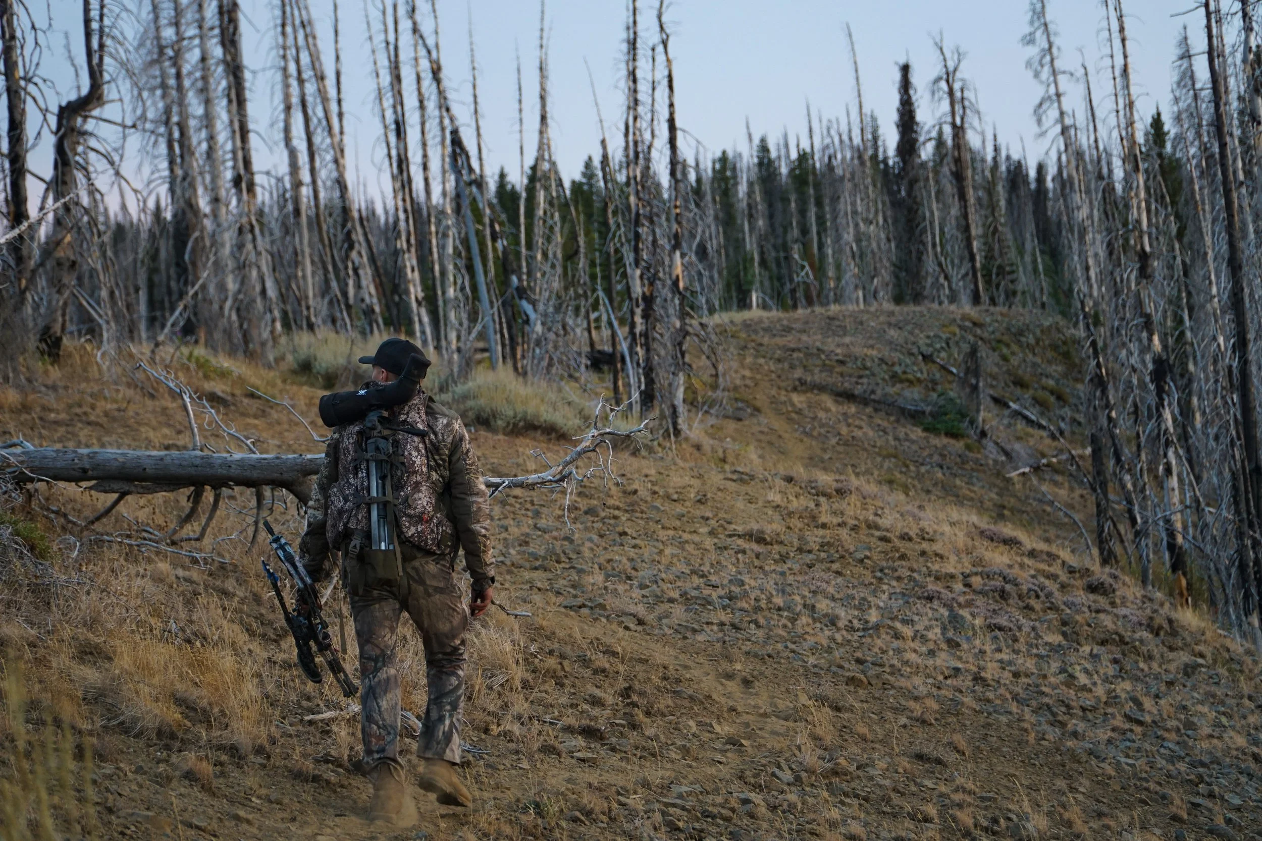 Bowhunting mule deer in high country burns