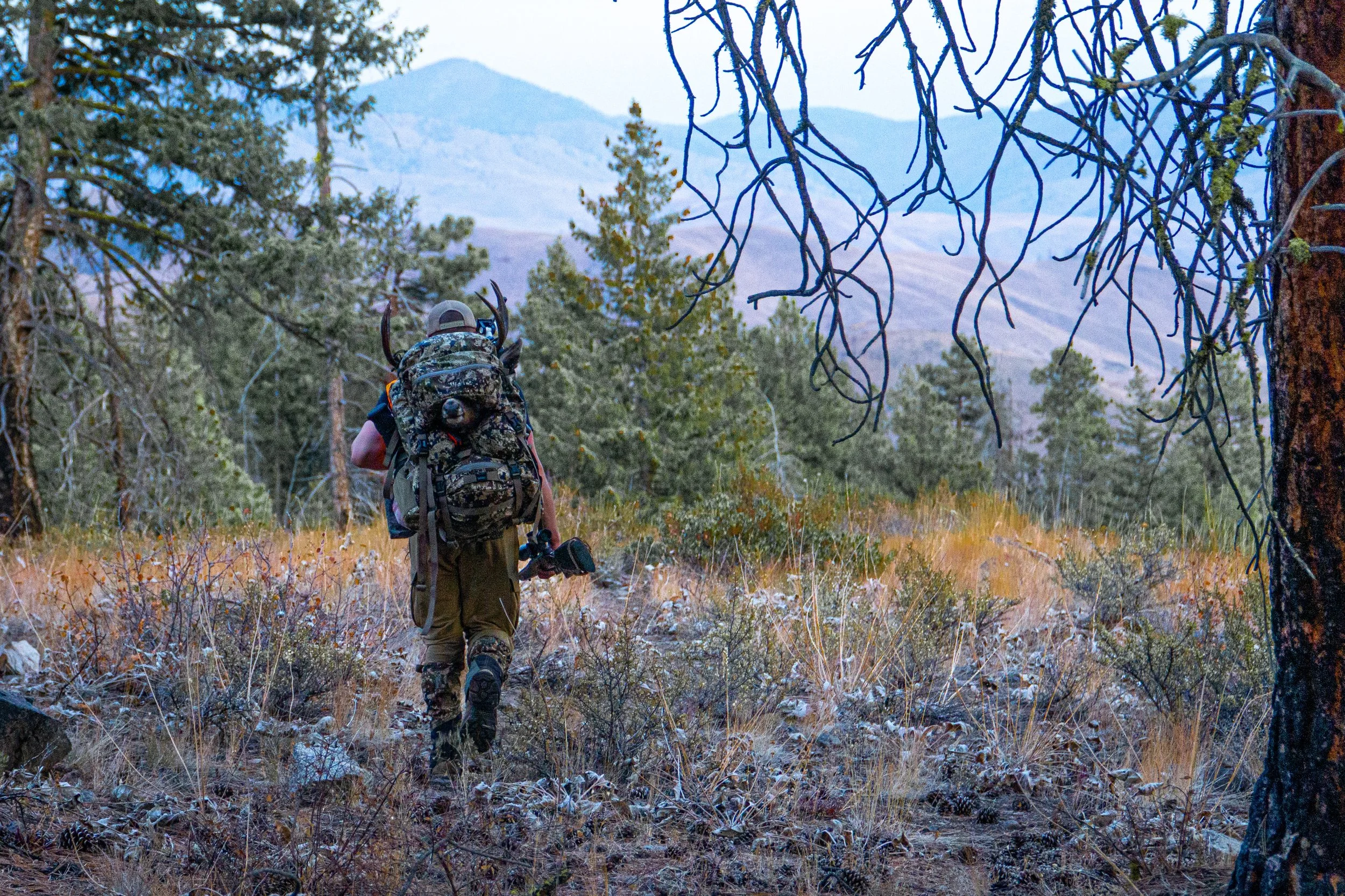 Packing out a muley buck off public land in Idaho