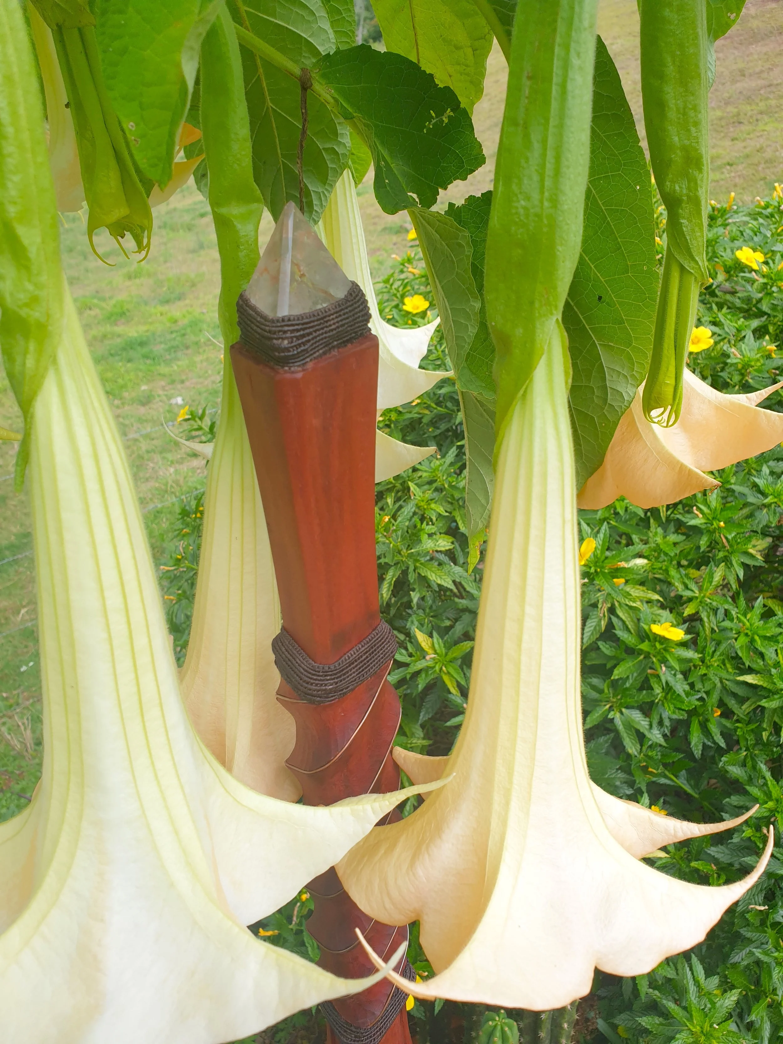 Mage Stick - Unnamed