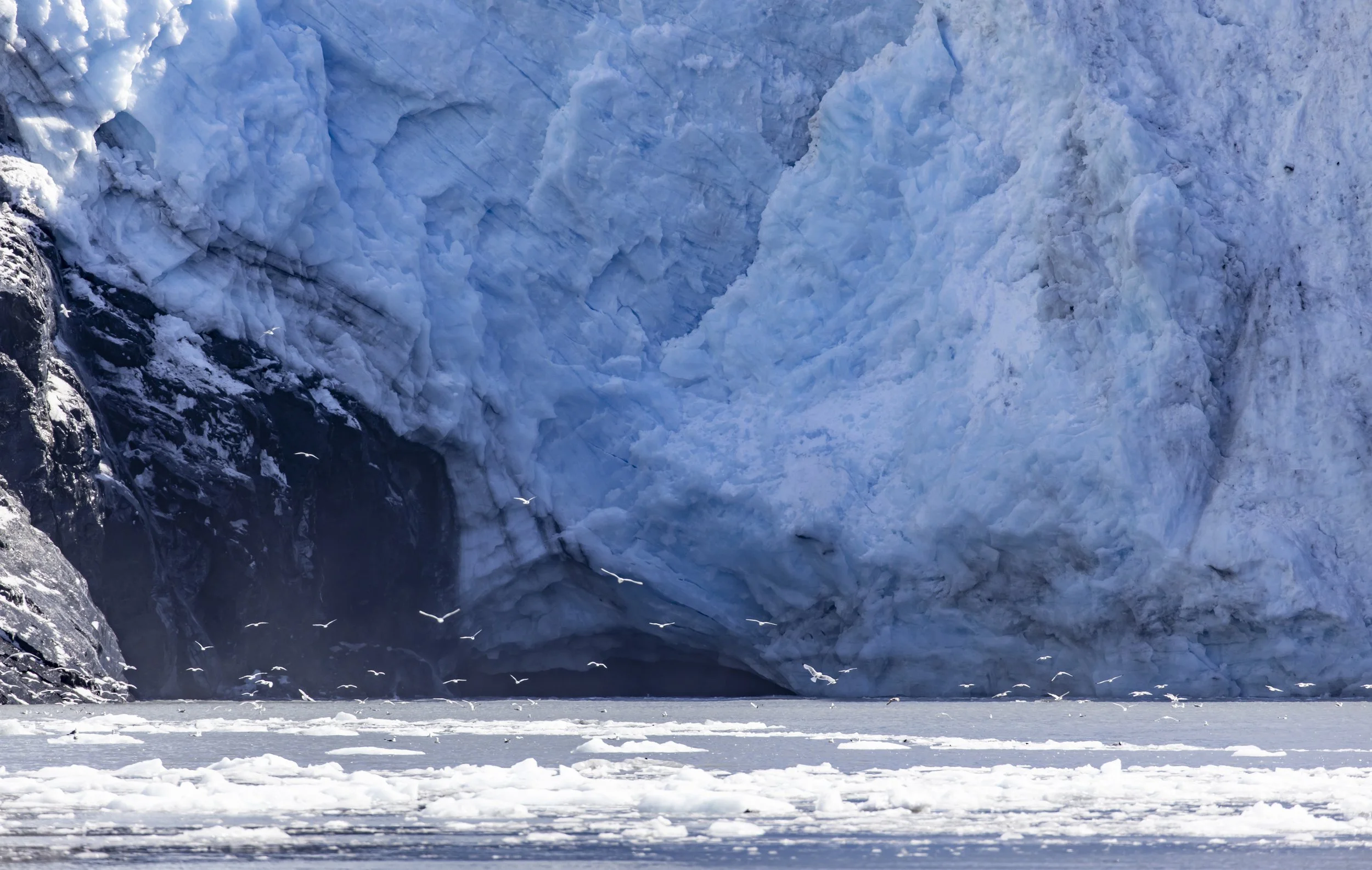 Glacier - Whittier Alaska
