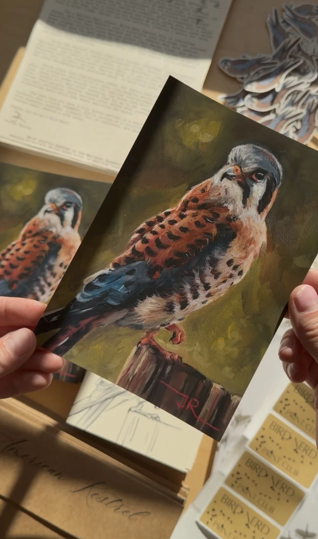 Issue 4: American Kestrel