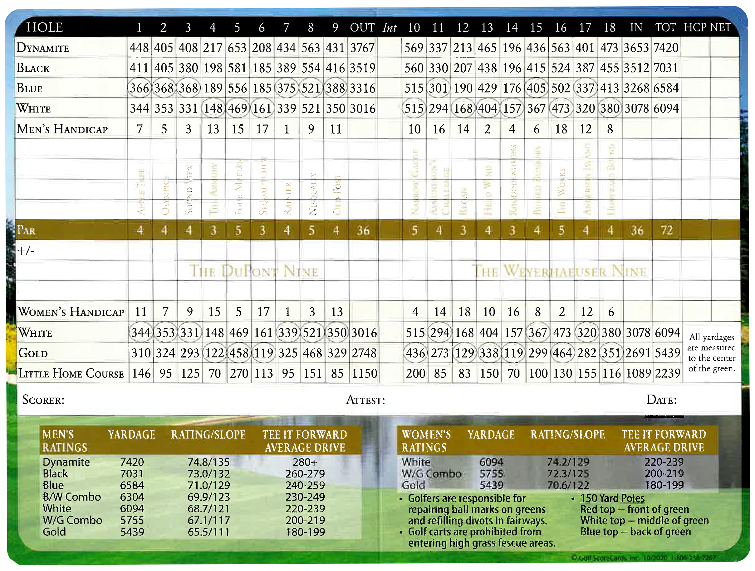 thc-scorecard-2021.png