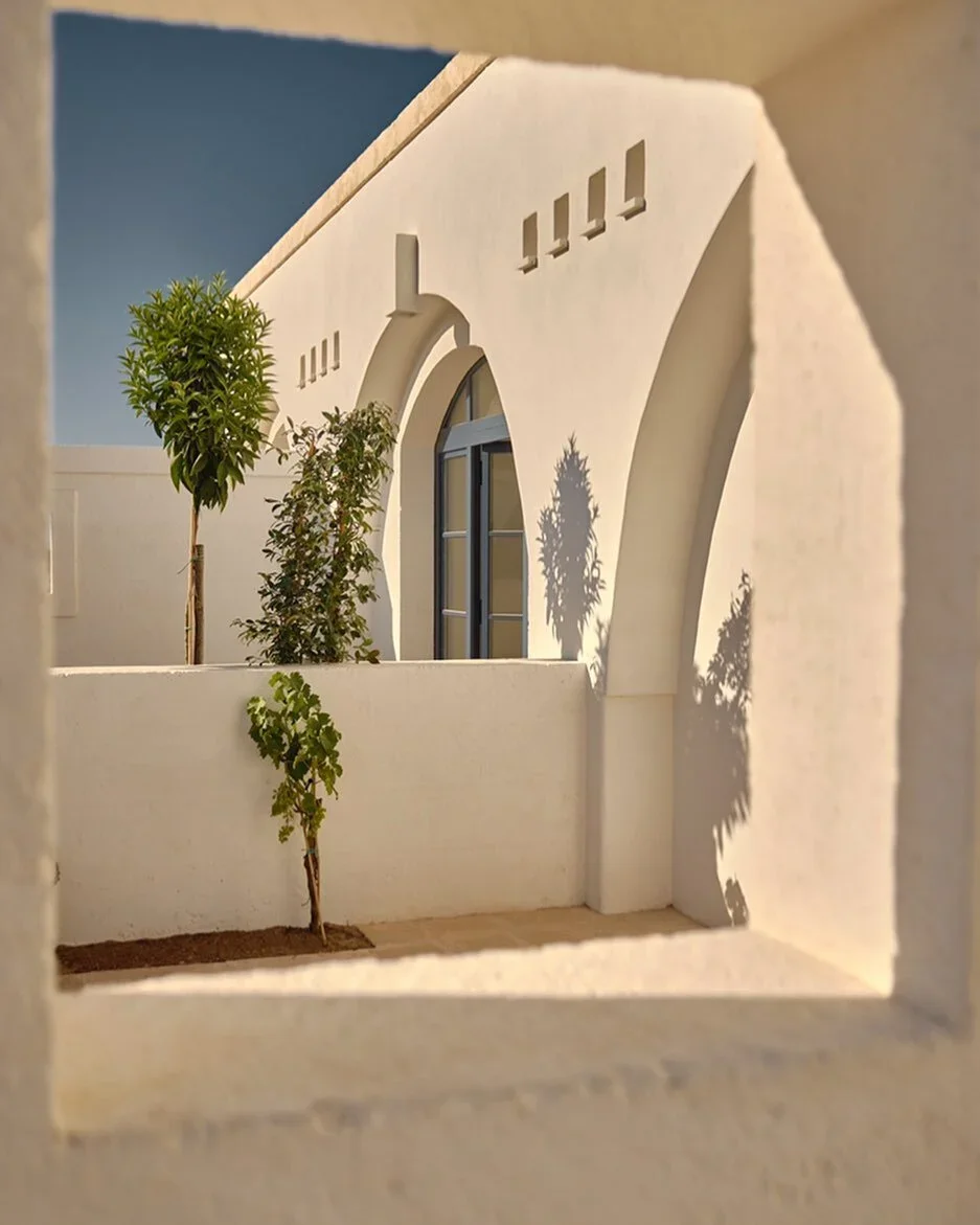 image-asset.webp