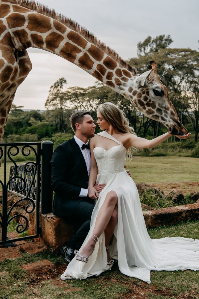 A couple sitting on a stone ledge with a giraffe leaning over them. The woman is wearing a white strapless dress with a thigh-high slit, and the man is in a black tuxedo. The setting appears outdoors in a field with trees in the background.