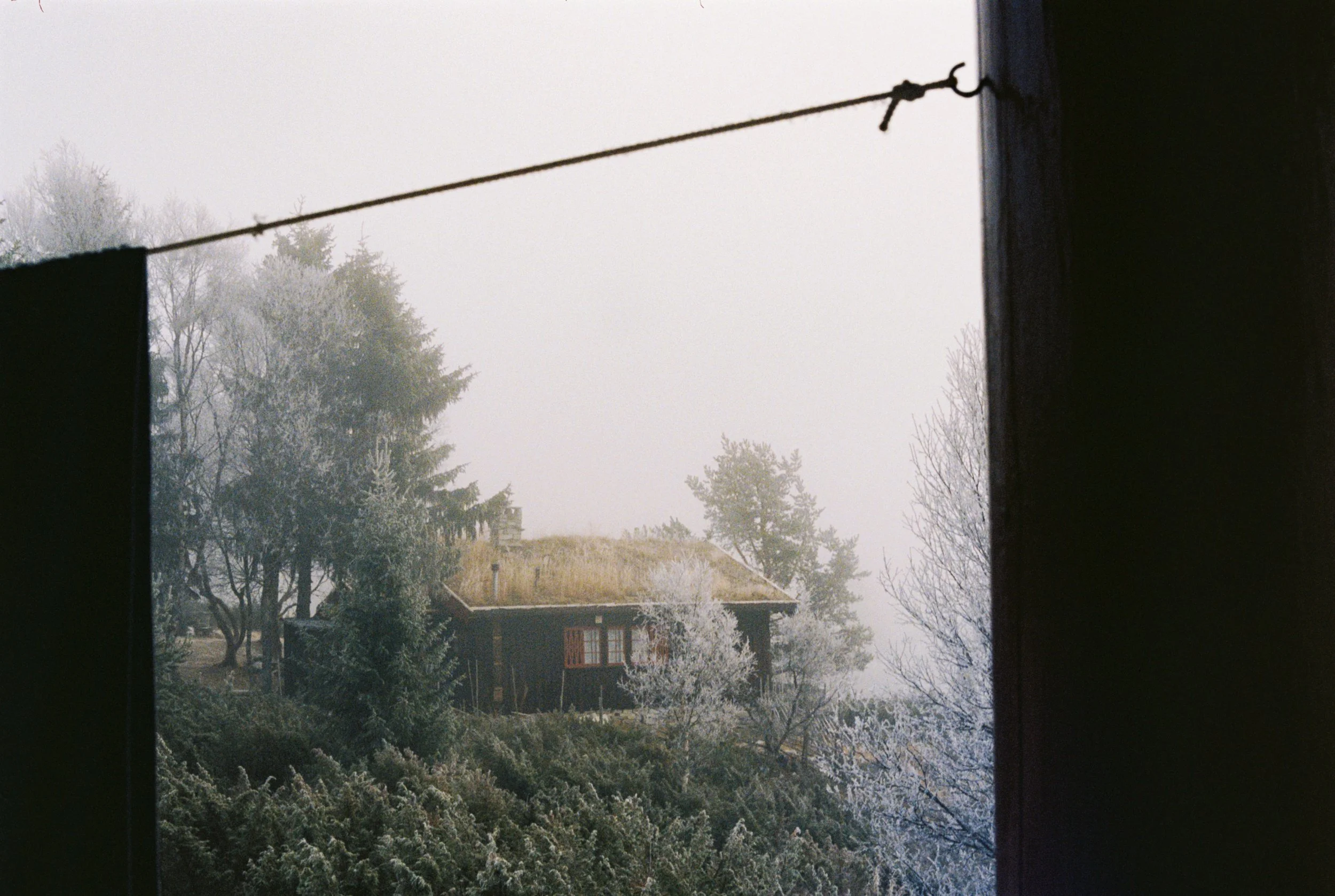 Stineogjarlen analogue-17.jpg