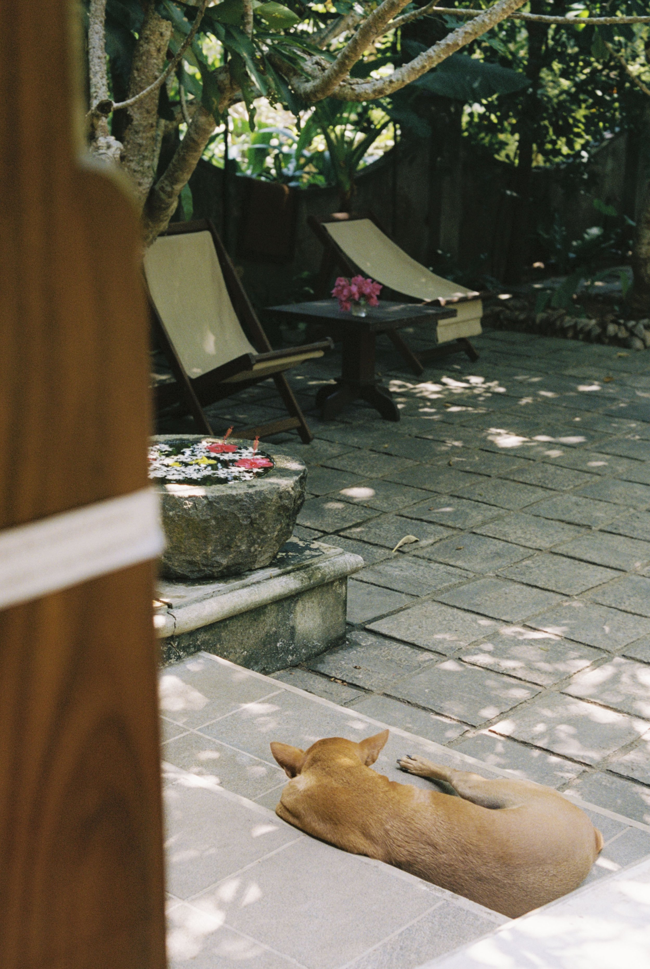 Stineogjarlen analogue-8.jpg