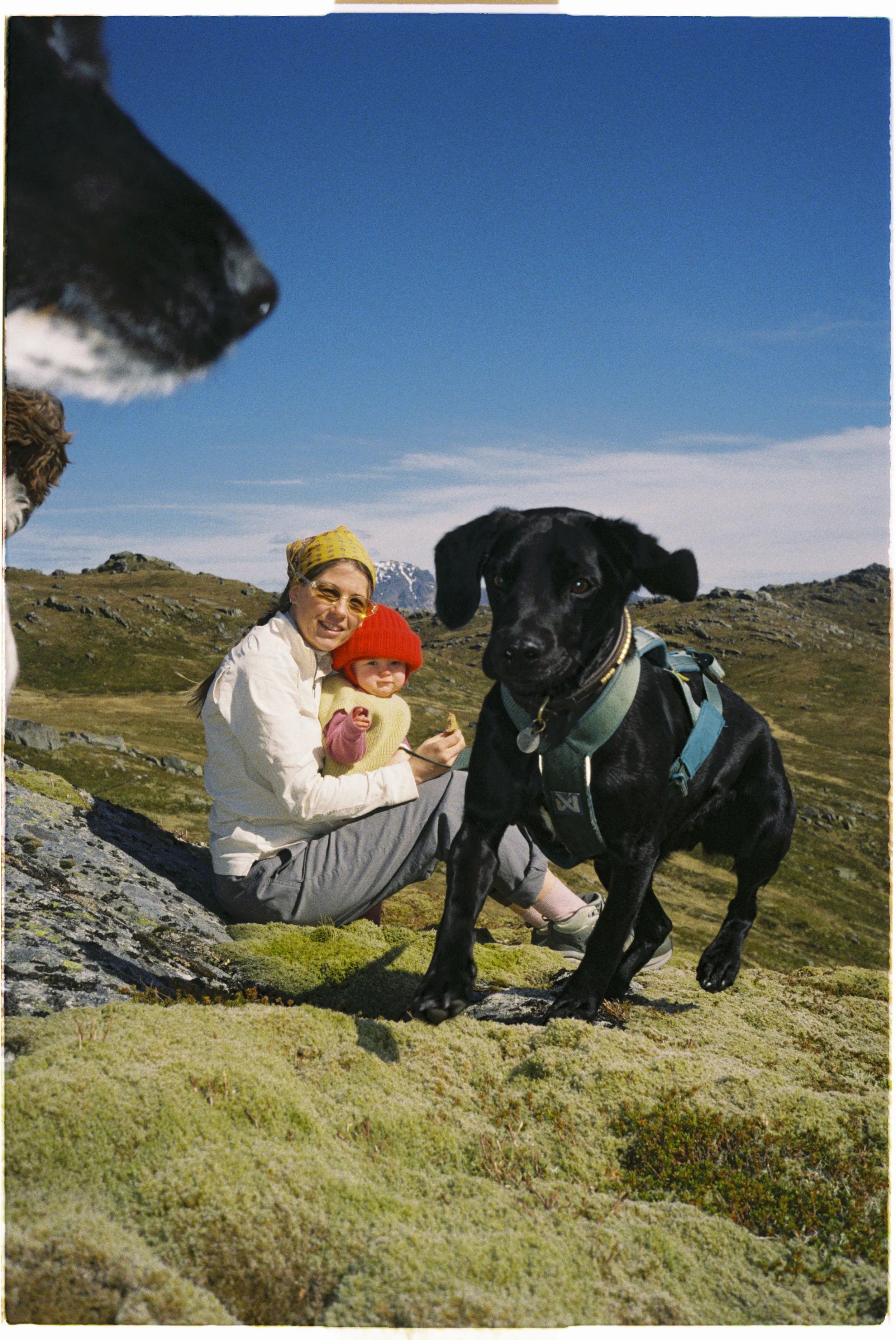 Stineogjarlen analogue-46.jpg