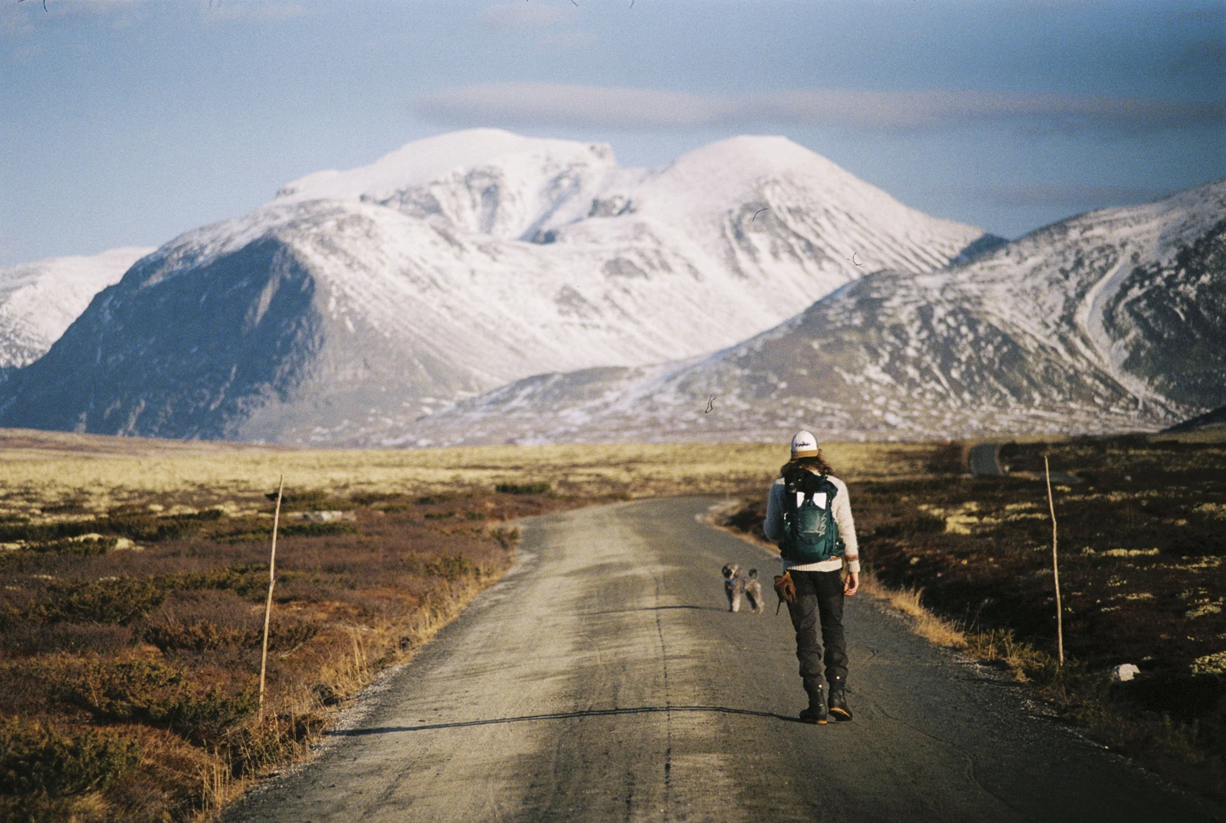 Stineogjarlen analogue-15.jpg