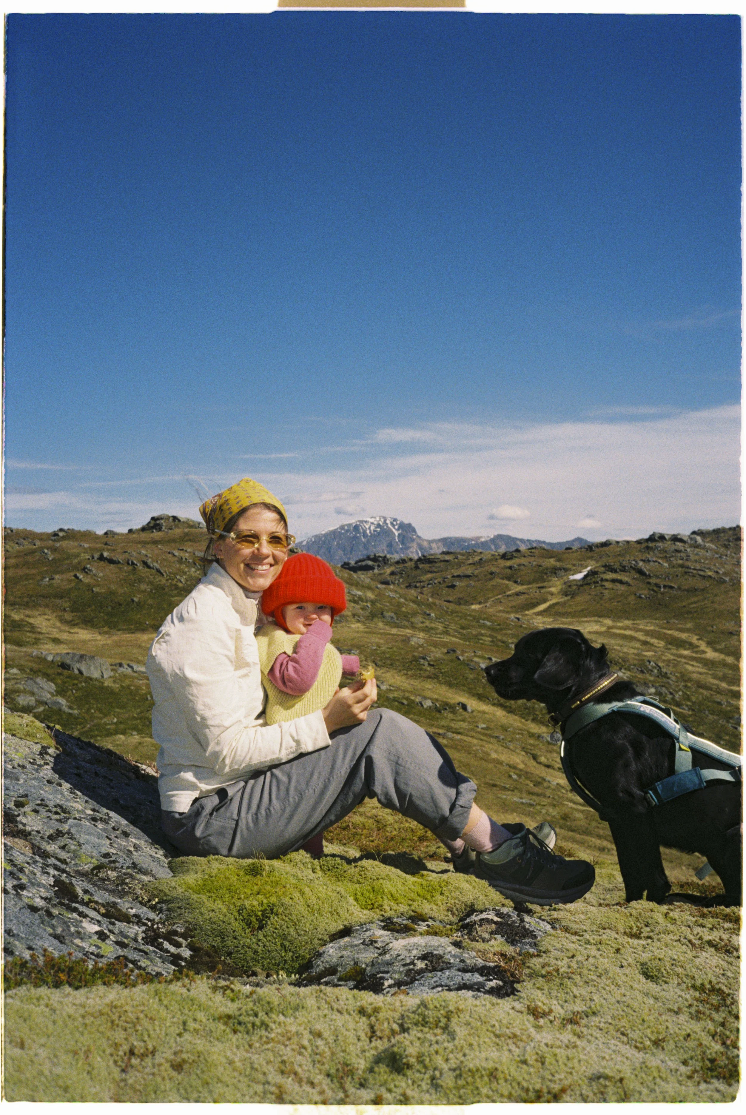 Stineogjarlen analogue-45.jpg
