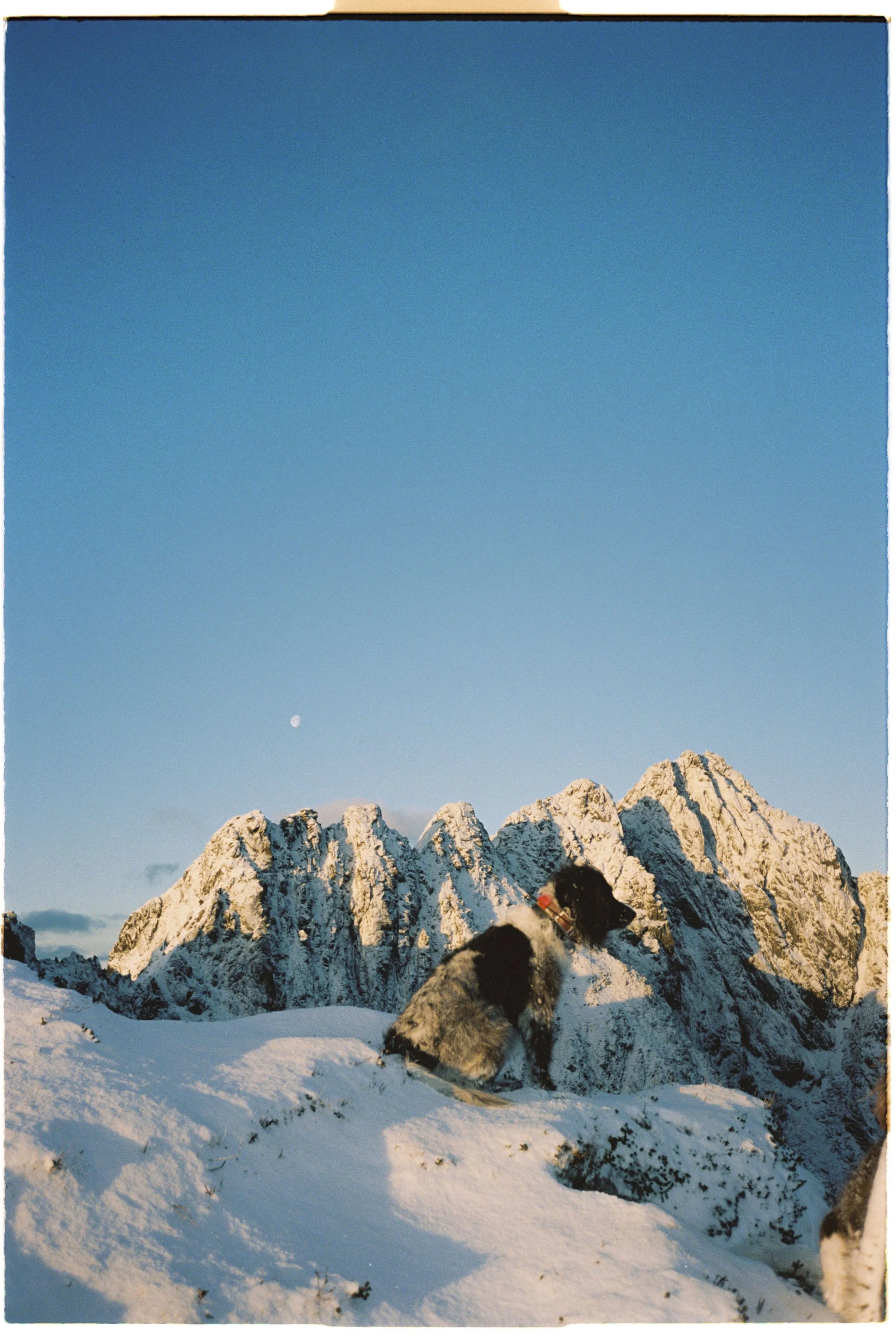 Stineogjarlen analogue-33.jpg