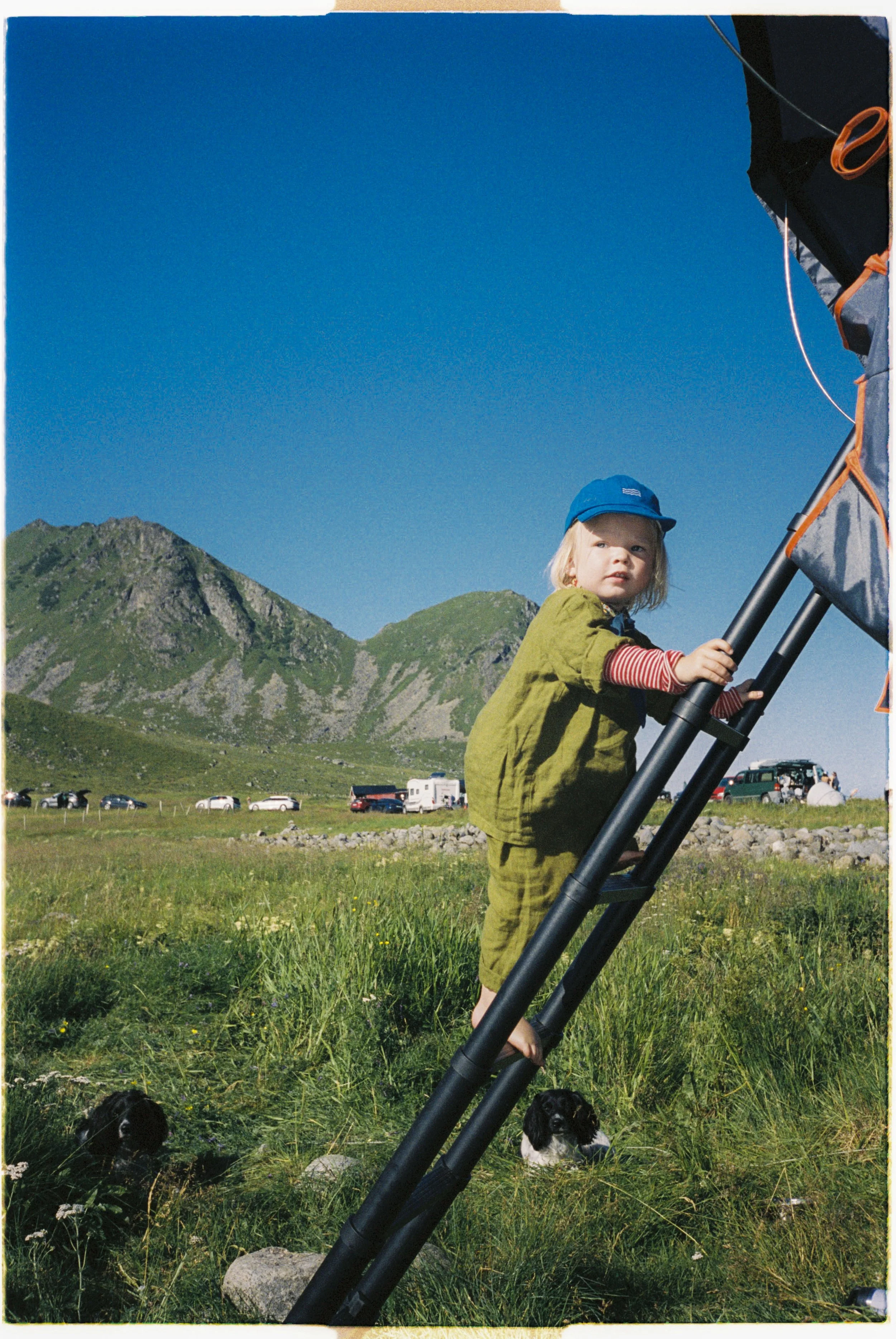 Stineogjarlen analogue-22.jpg