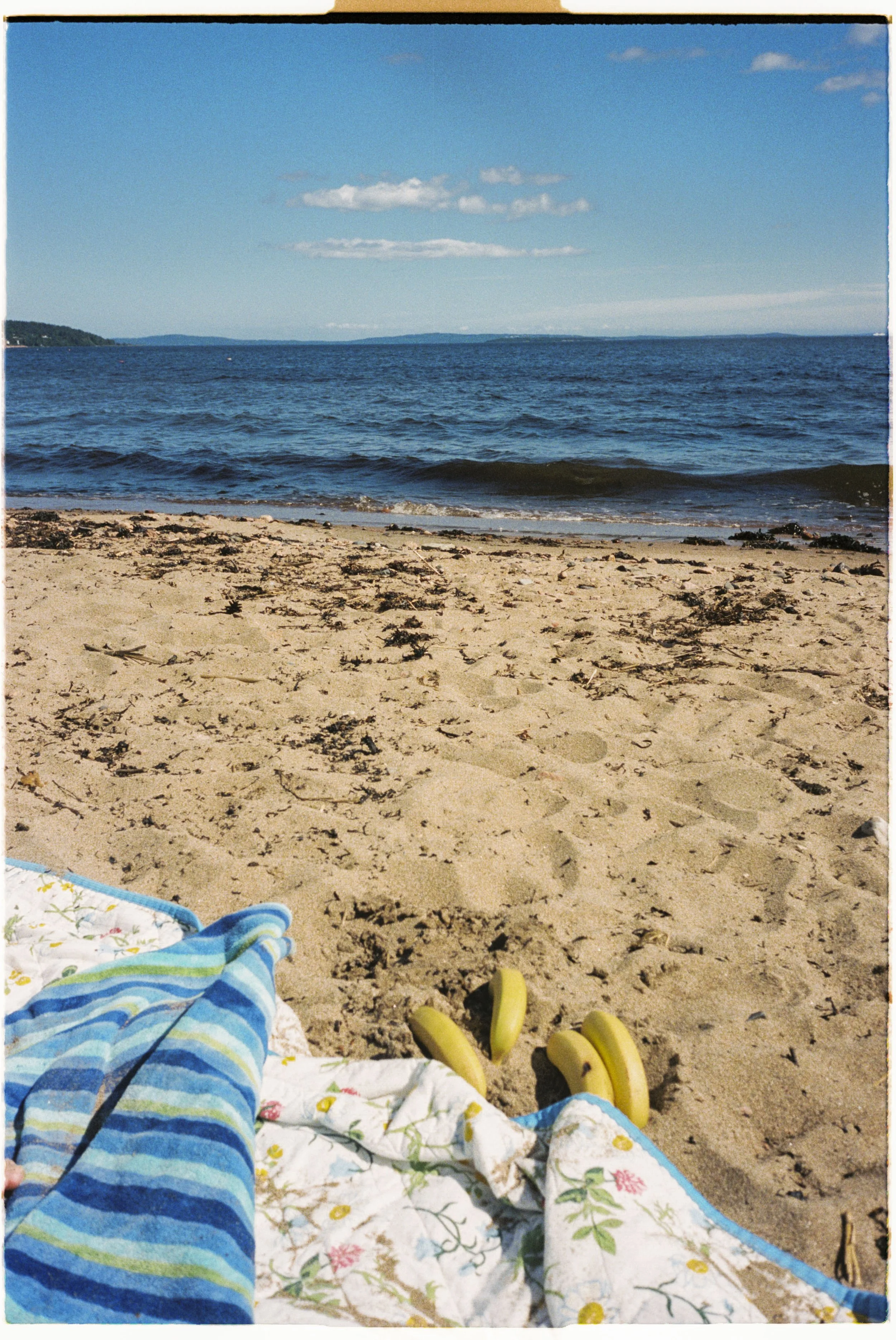Stineogjarlen analogue-27.jpg