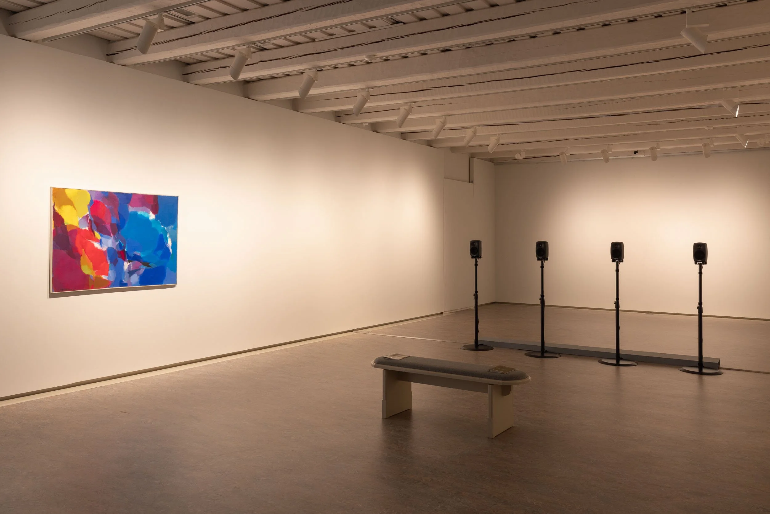 Vesireitit_Lappeenrannan_Taidemuseo_C_Tuure_Leppänen_LORES (1).jpg