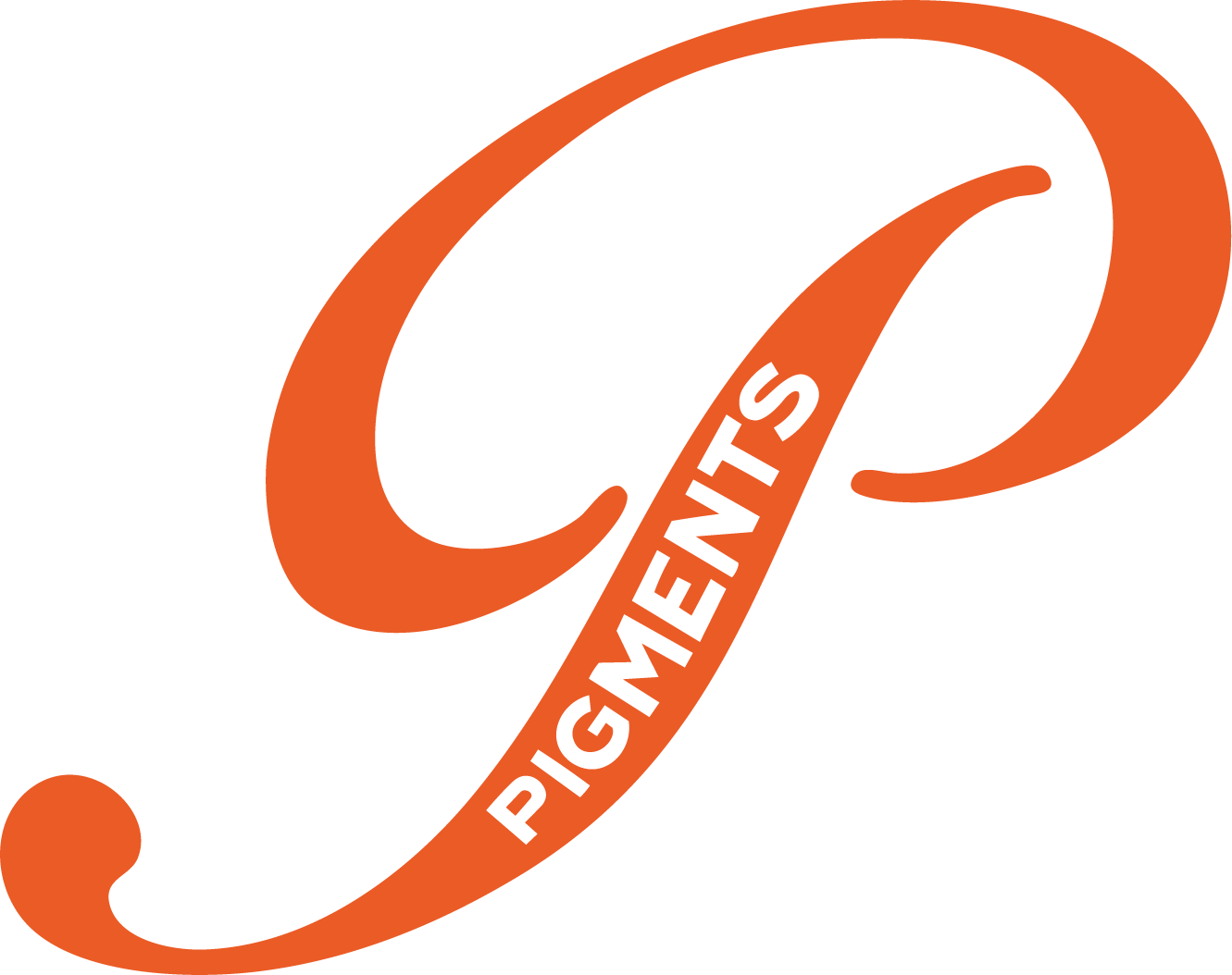 PIGMENTS-LOGOTYPE-P-ORANGE.png