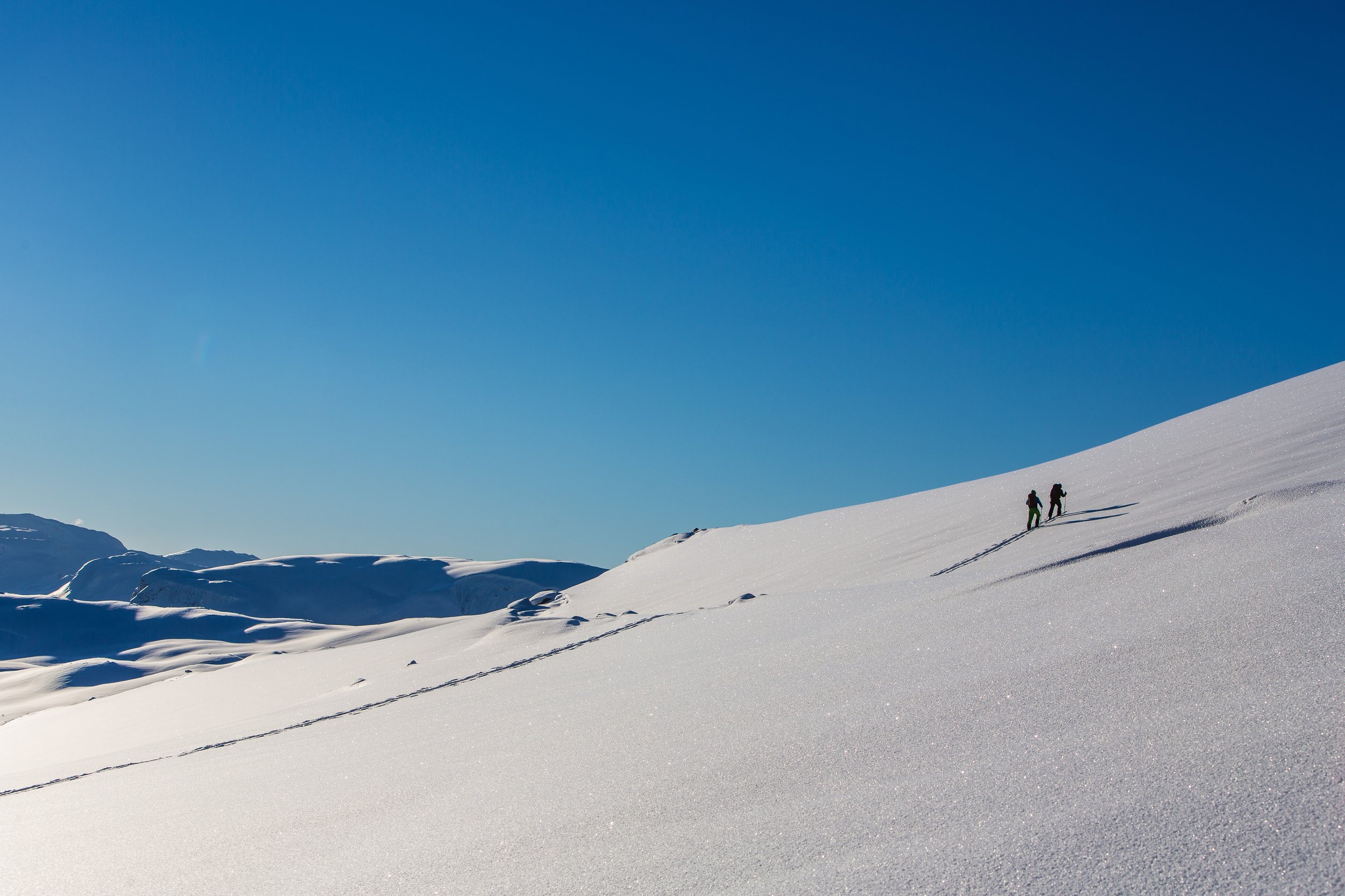 vinter 5.jpg