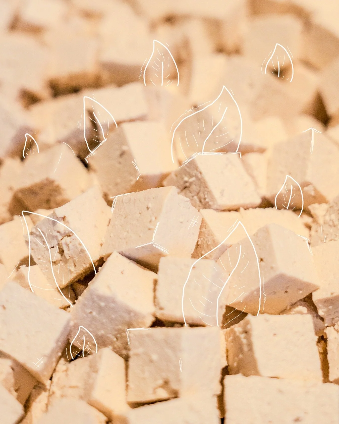 Proof that comfort food can be plant-based and full of flavour. 😋🙌

#hoian #healthyfood