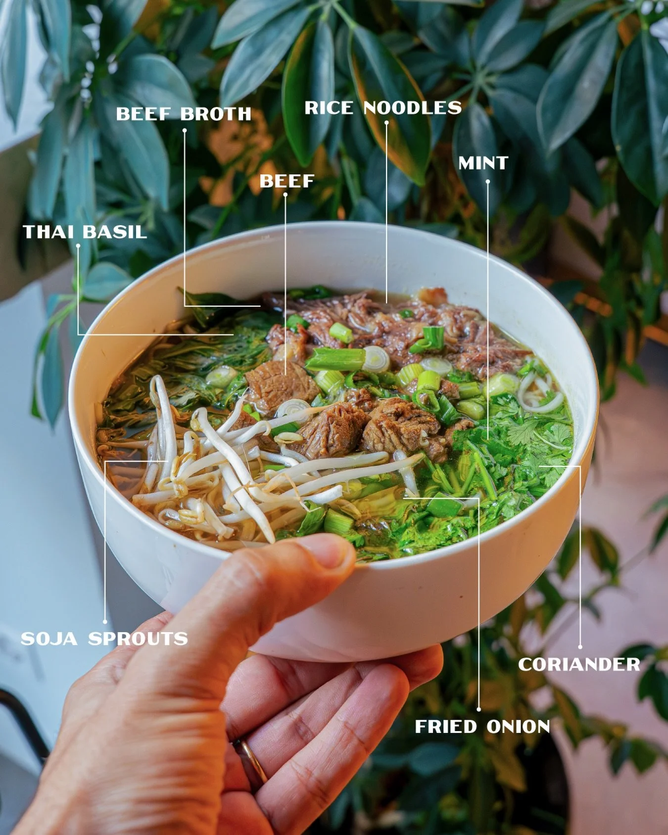This is what a proper Vietnamese meal looks like. Pull up a chair and dig in.