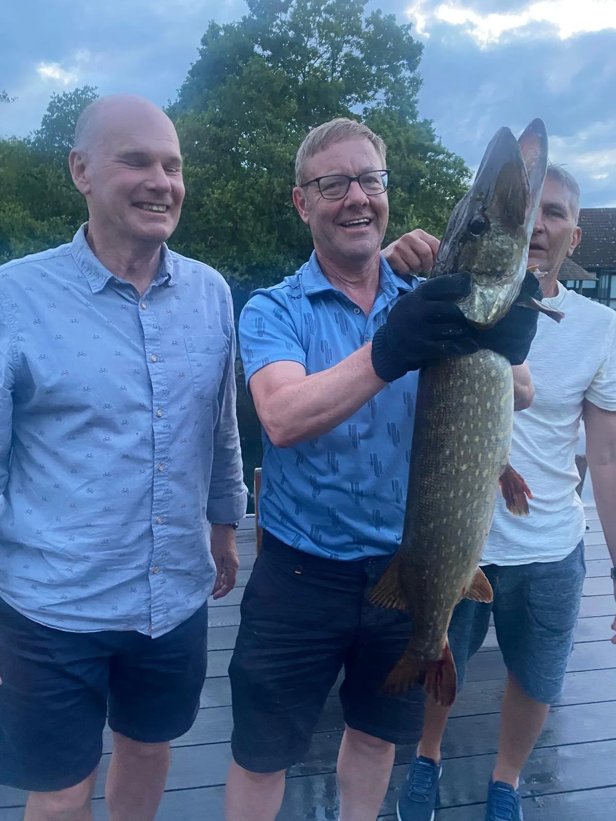 Otters fishing.jfif