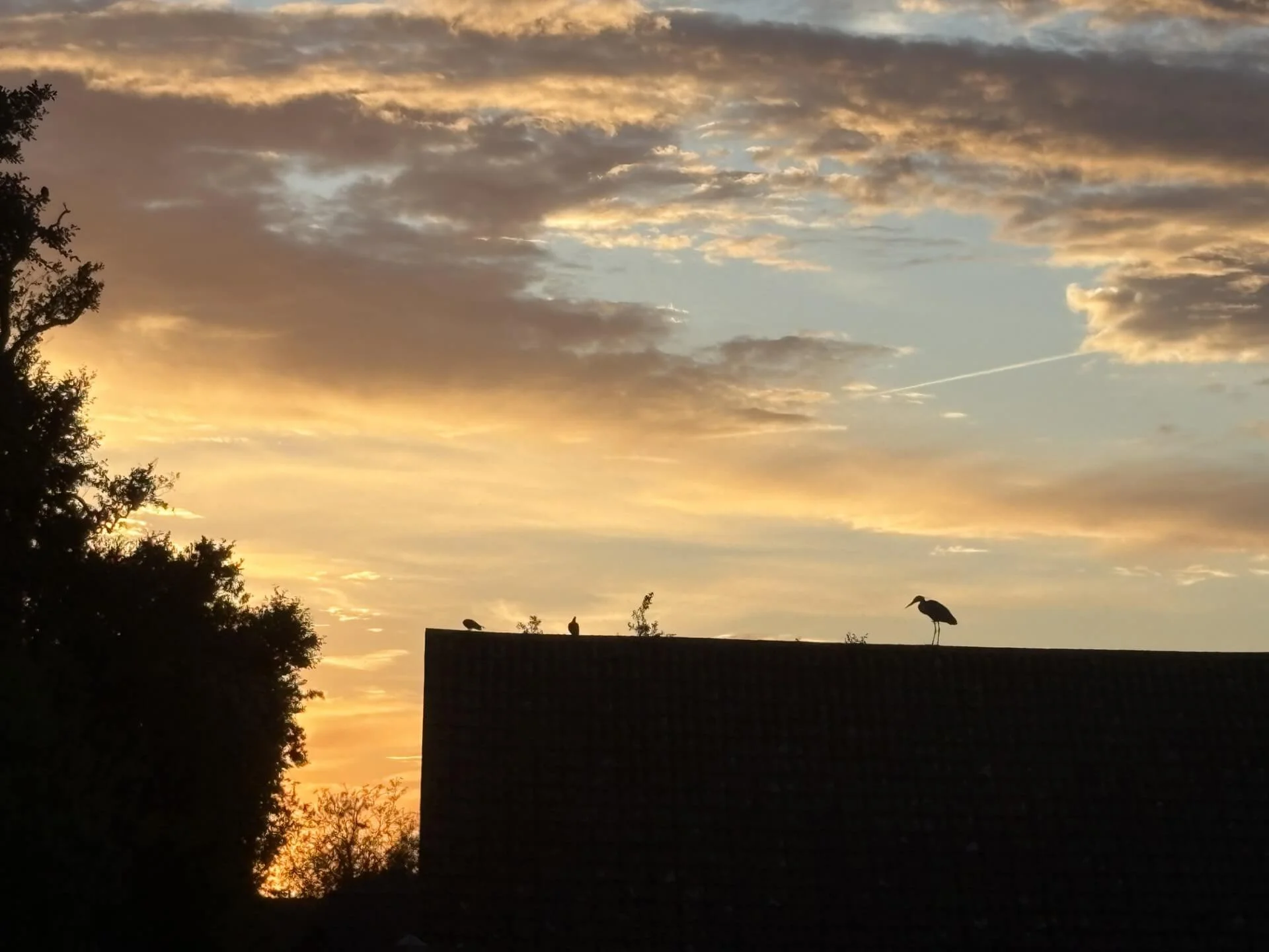 night sky otters reach Hoveton.jfif