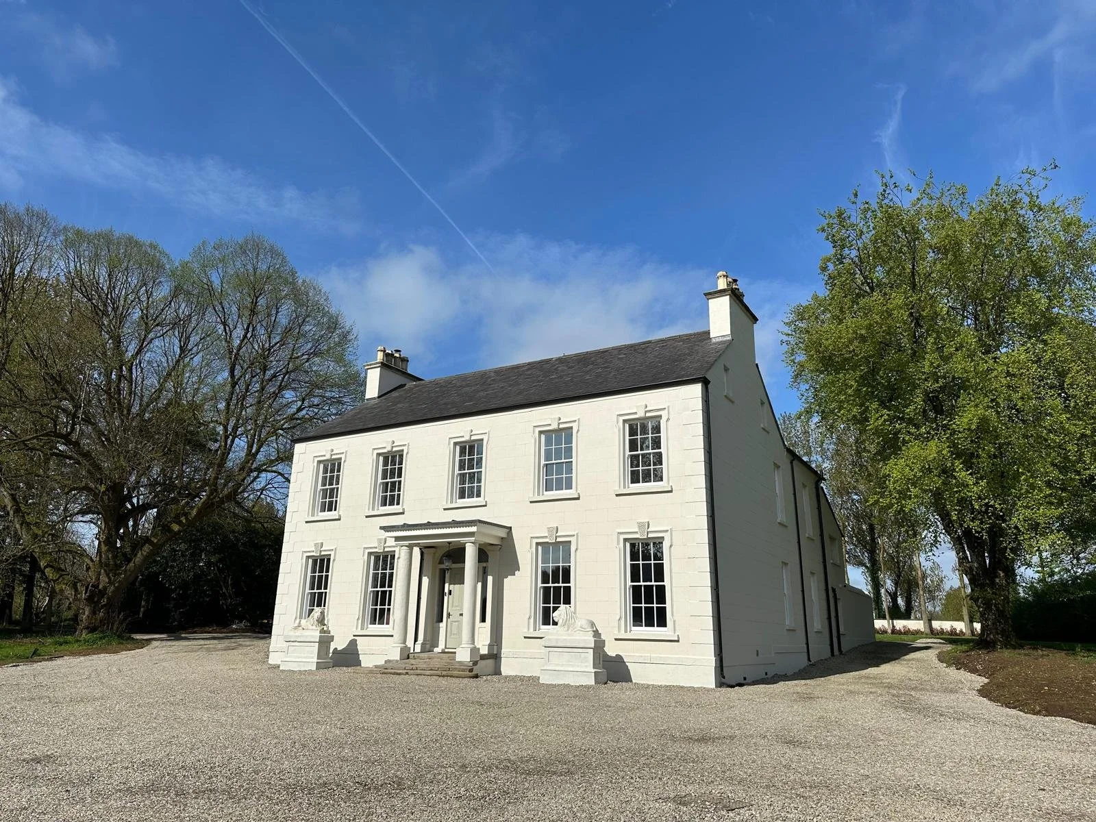 66e6111a-b0e6-4b4b-a1f5-8b85d1458497 2.JPG