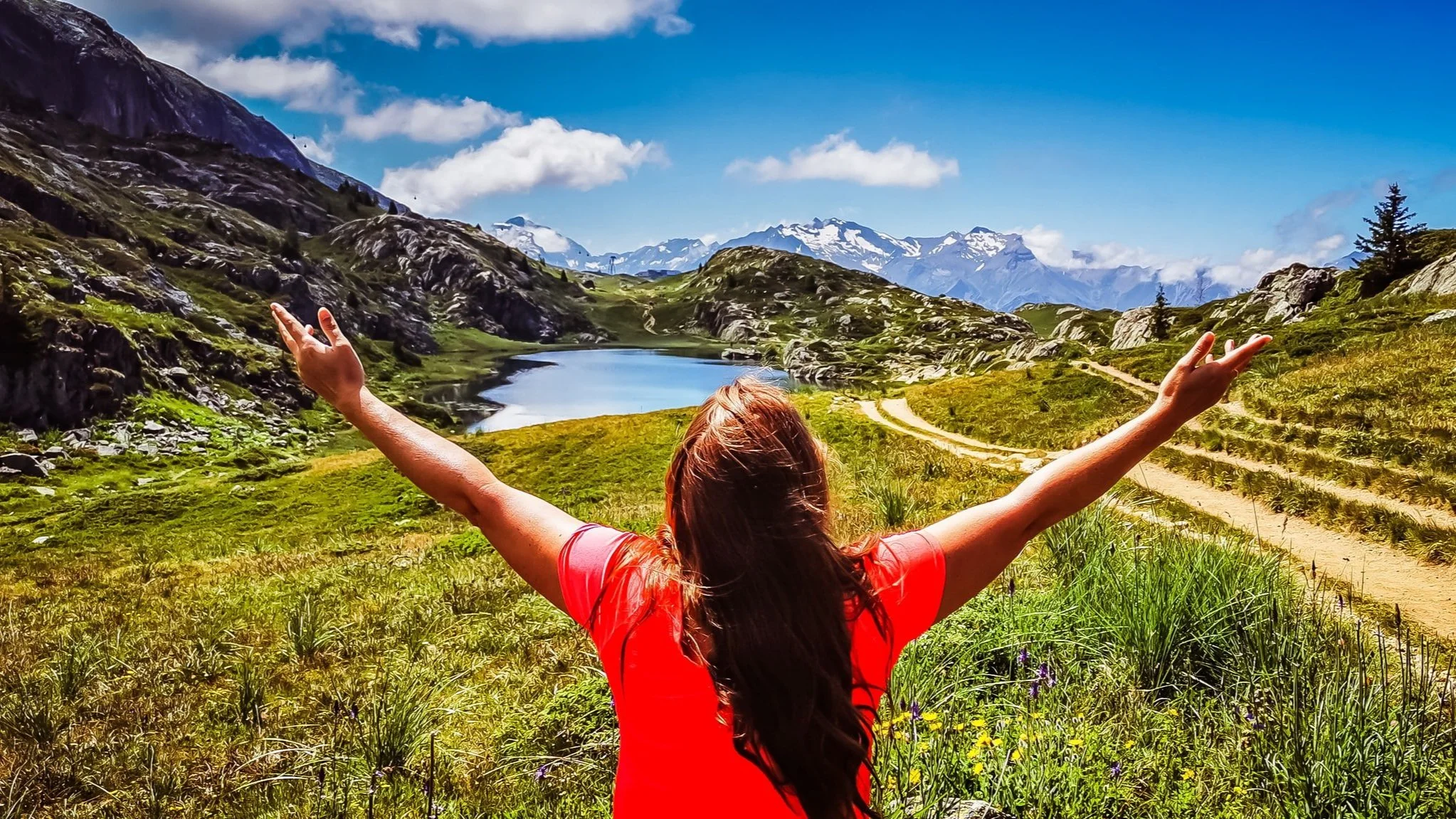 Salmeforslag juni 2021