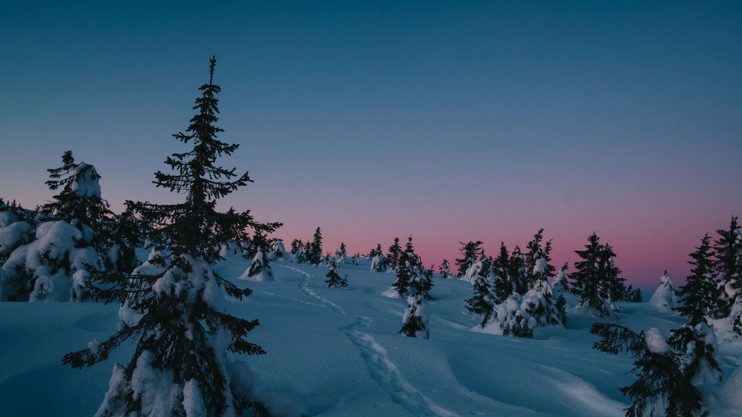 Salmeforslag januar 2021