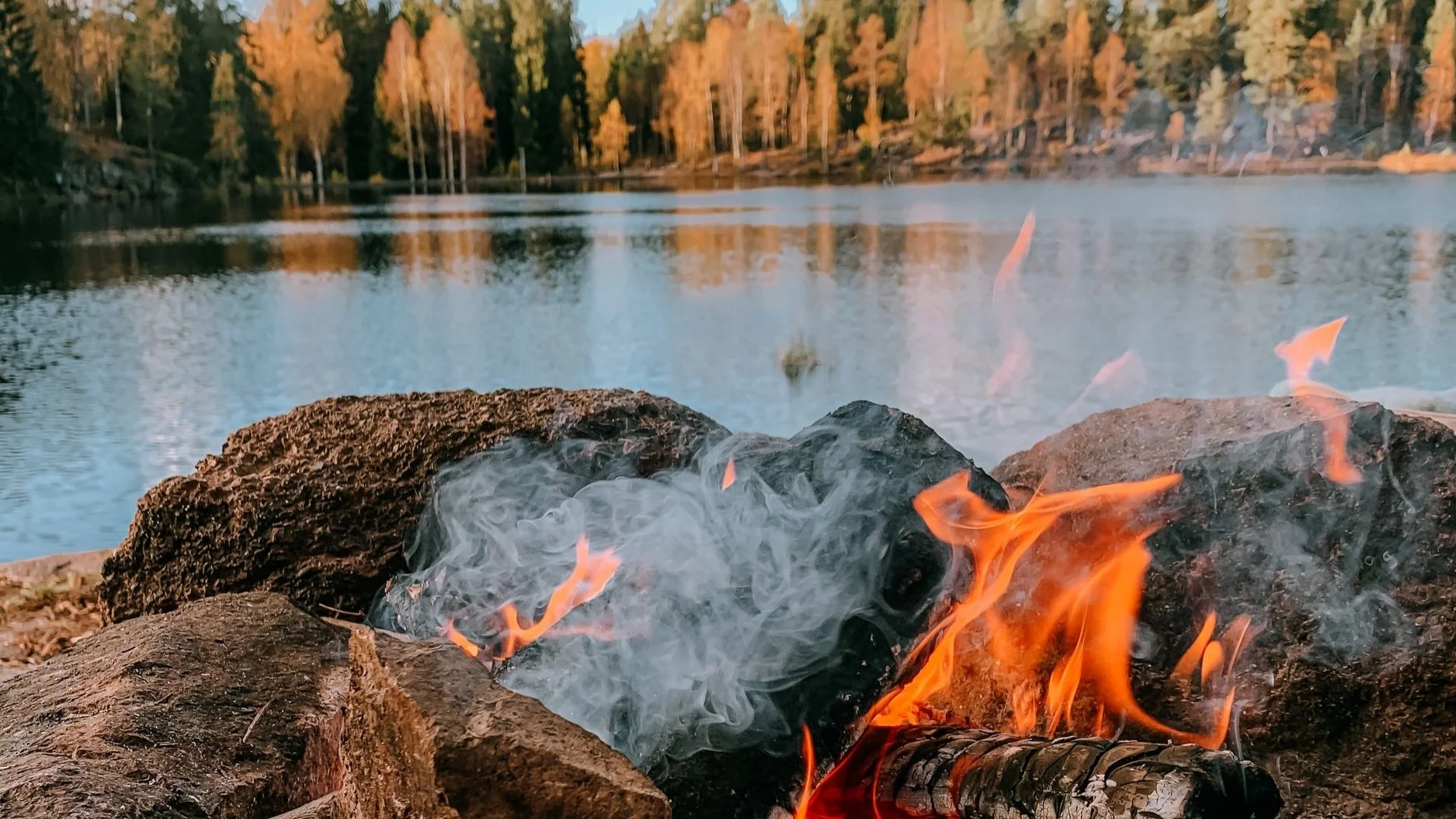 Salmeforslag november 2020