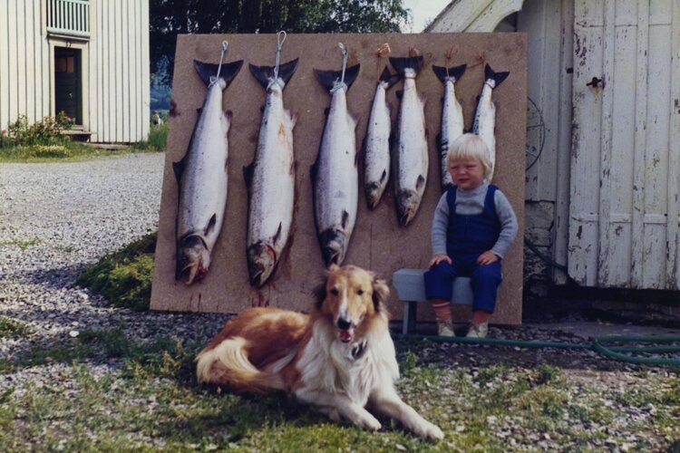  Junior Aksel Hembre early -70. Day catch of salmons. 