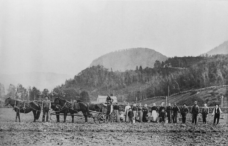  Maybe one of the oldest pictures we have from farming. Picture is taken west from the farm. You can see “grøthammeren” in the background which “grøthølen” pool have its name from. 